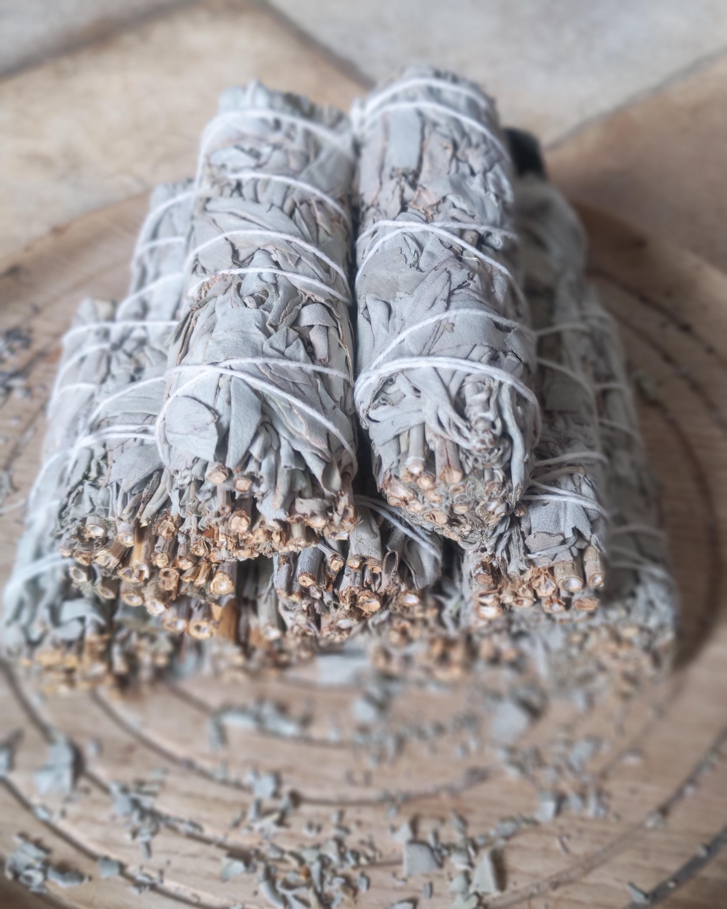 Kvantový terapeut Pavel Písařík foto 5