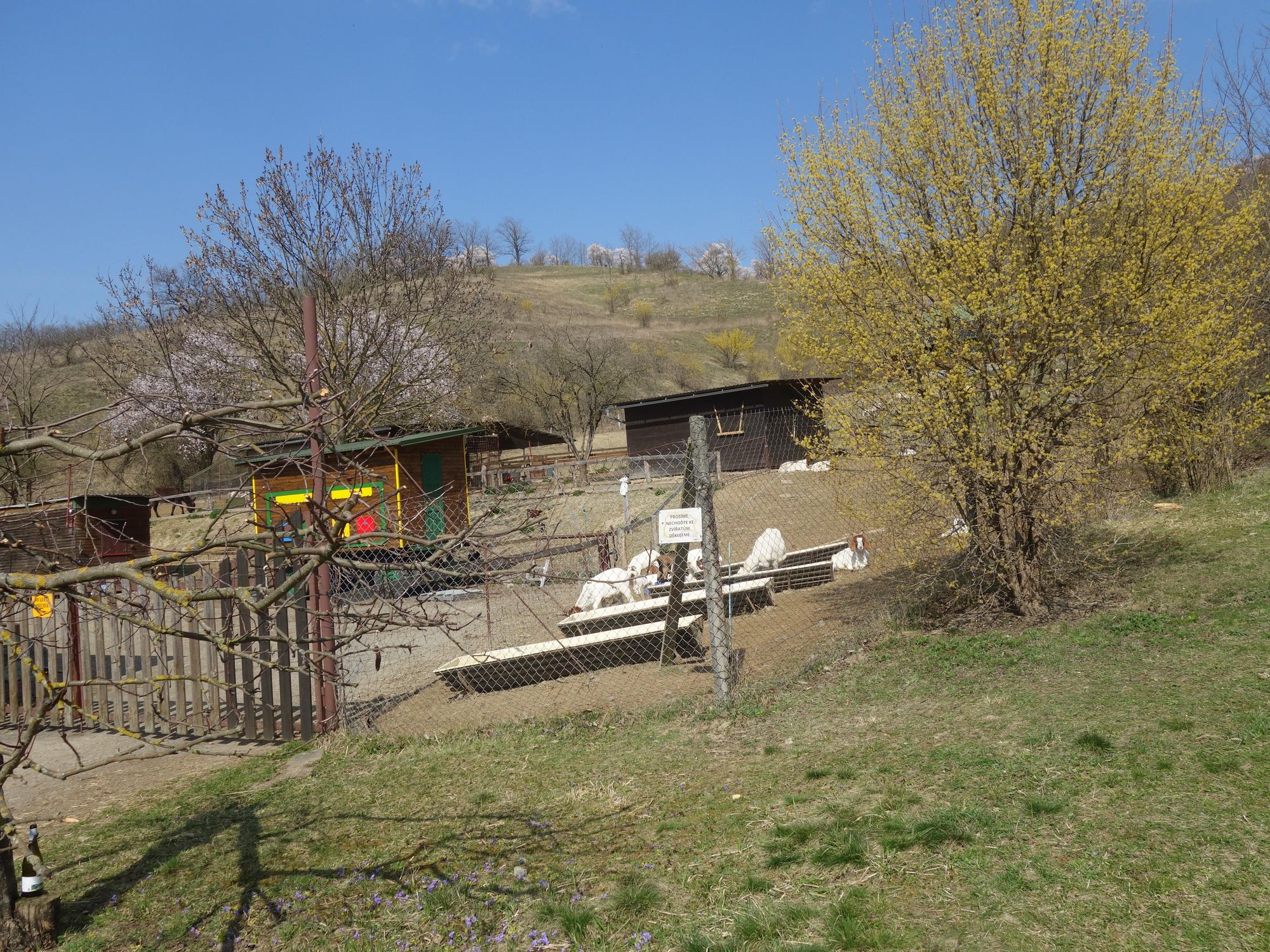 Farma Ovečky Hustopeče foto 4