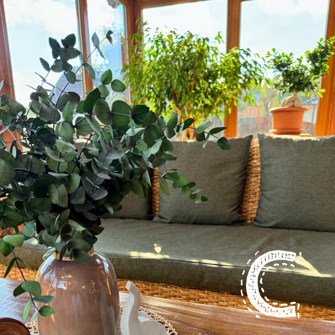 Comfortella - acodekorace.cz foto 5