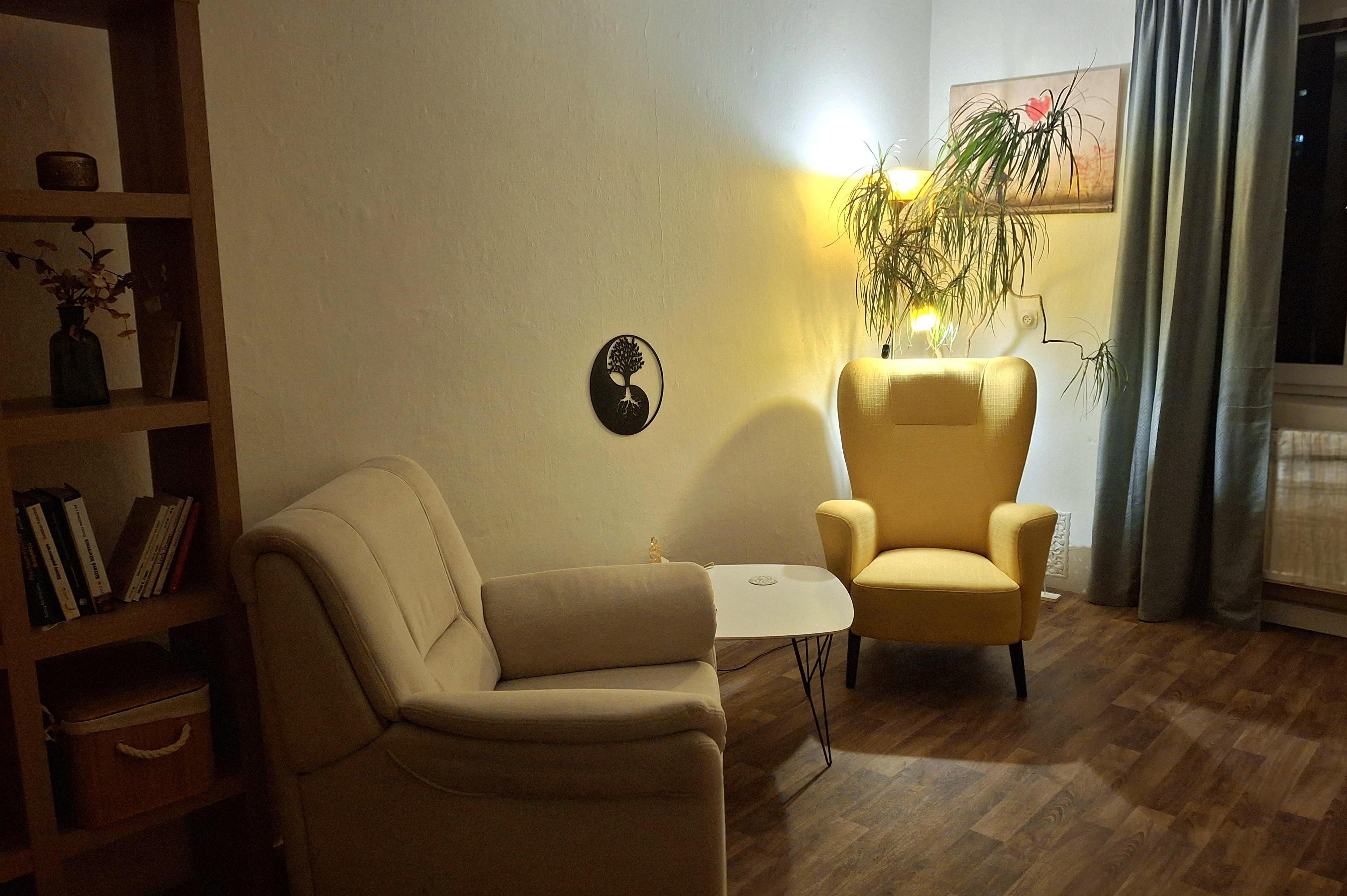 Psychologické  poradenství- Mgr. Svitlana Starchevska