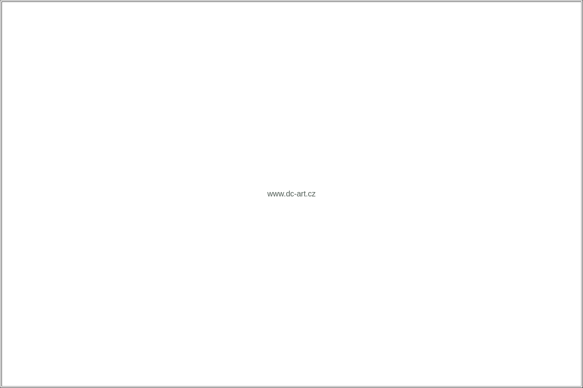 D. C. art - David Cícha