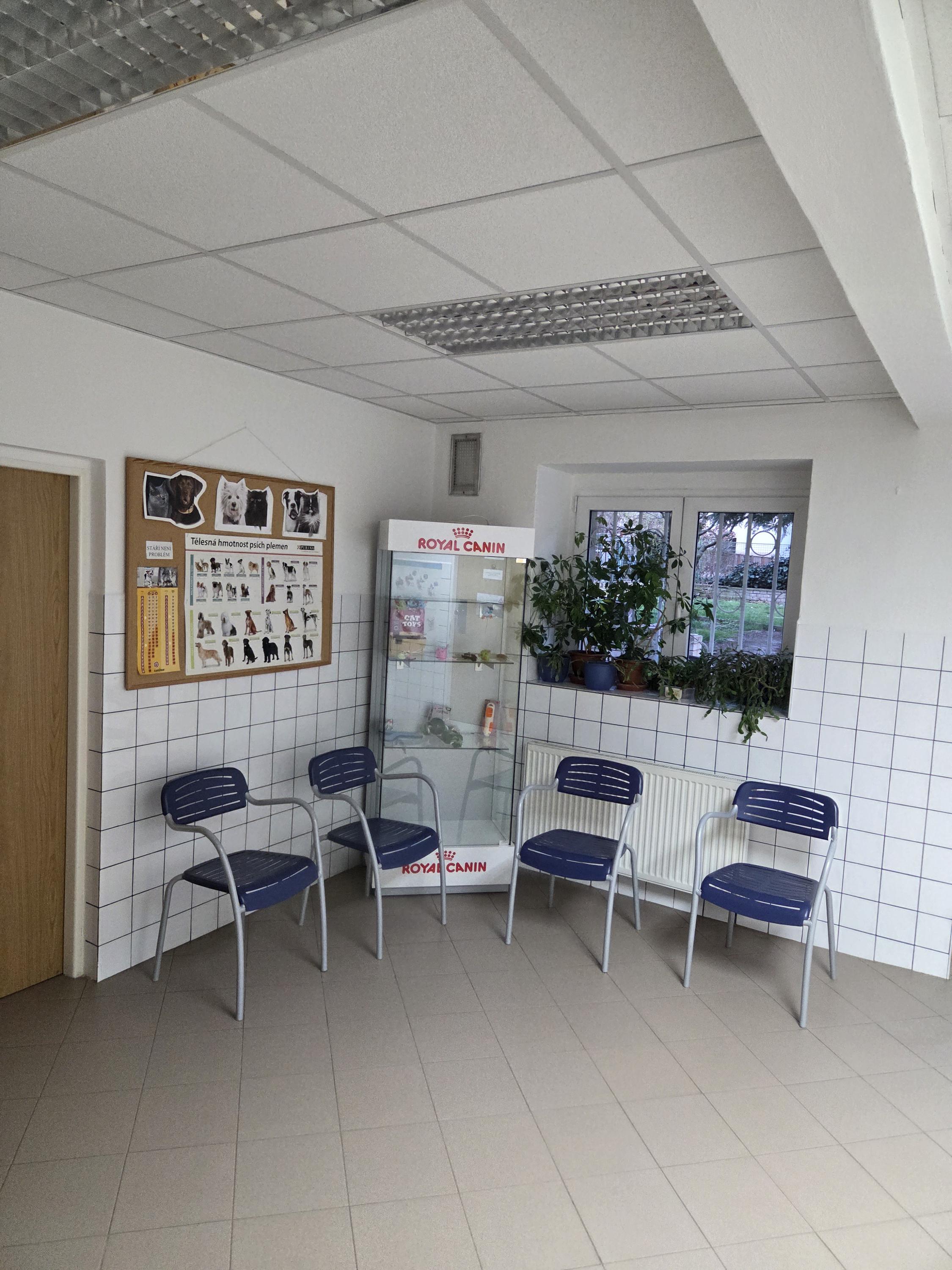 Veterinární klinika, MVDr. Jaroslav Chlupatý foto 4