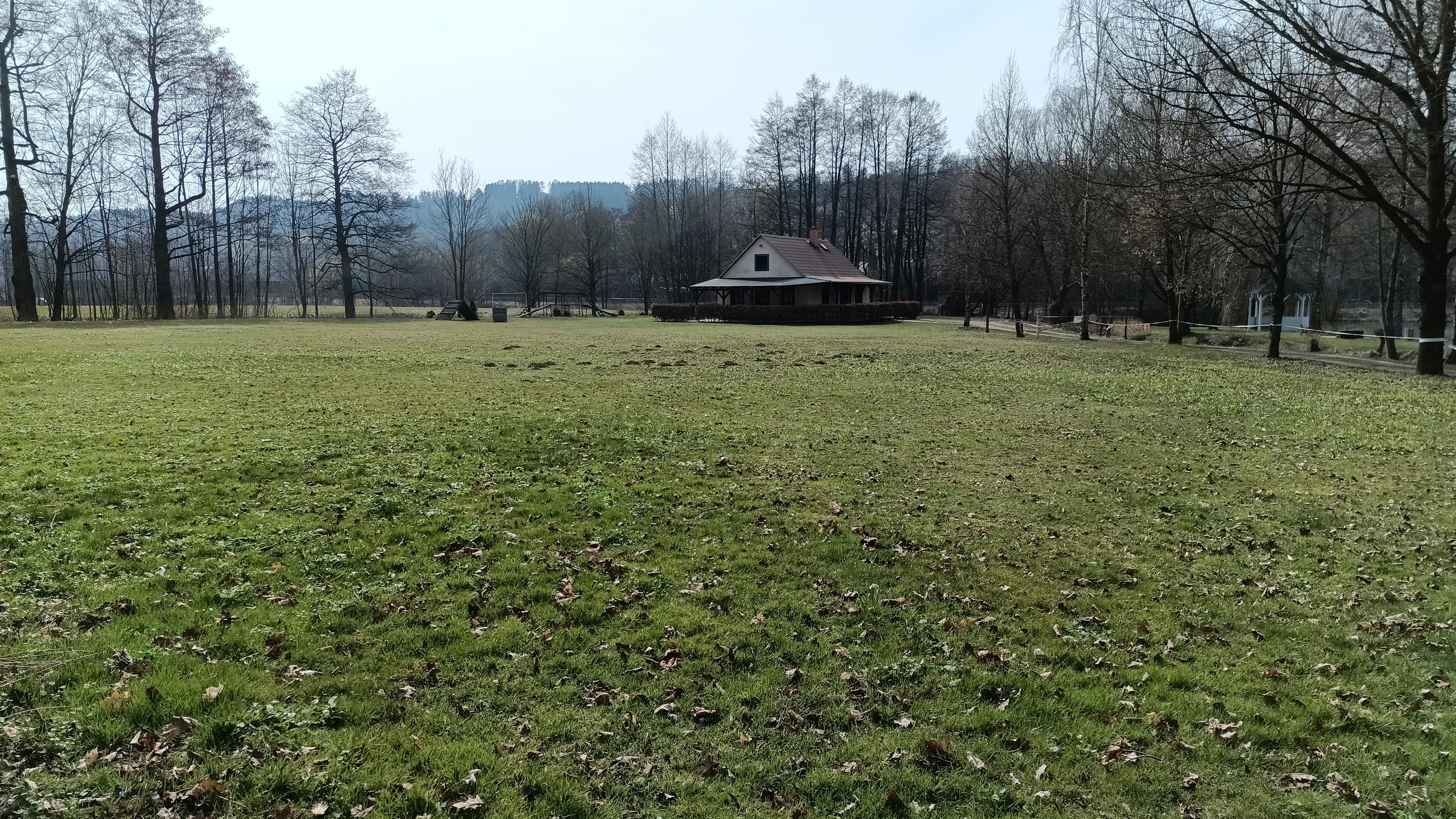 Český kynologický svaz ZKO Letohrad - 085 foto 2