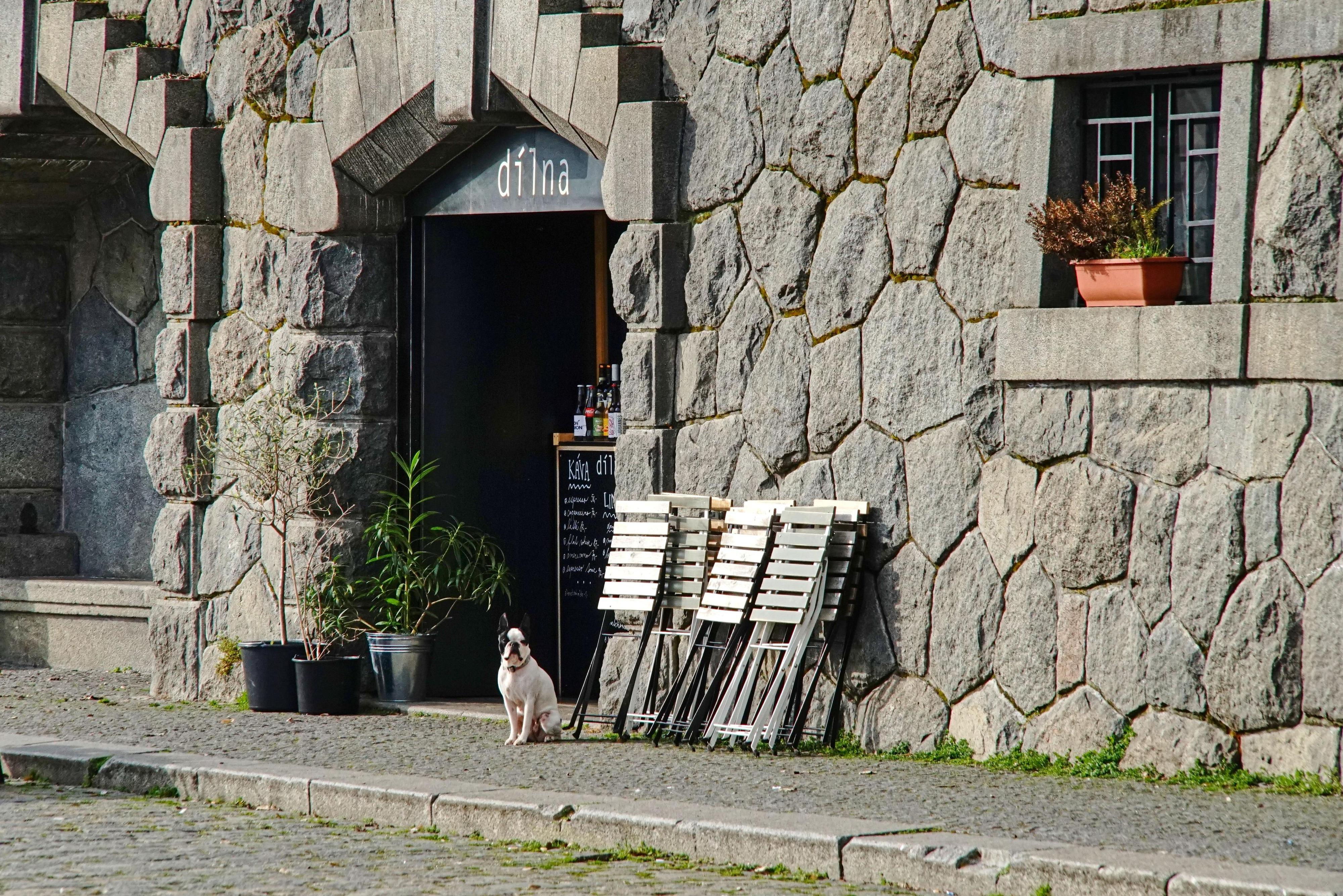 Dílna foto 4