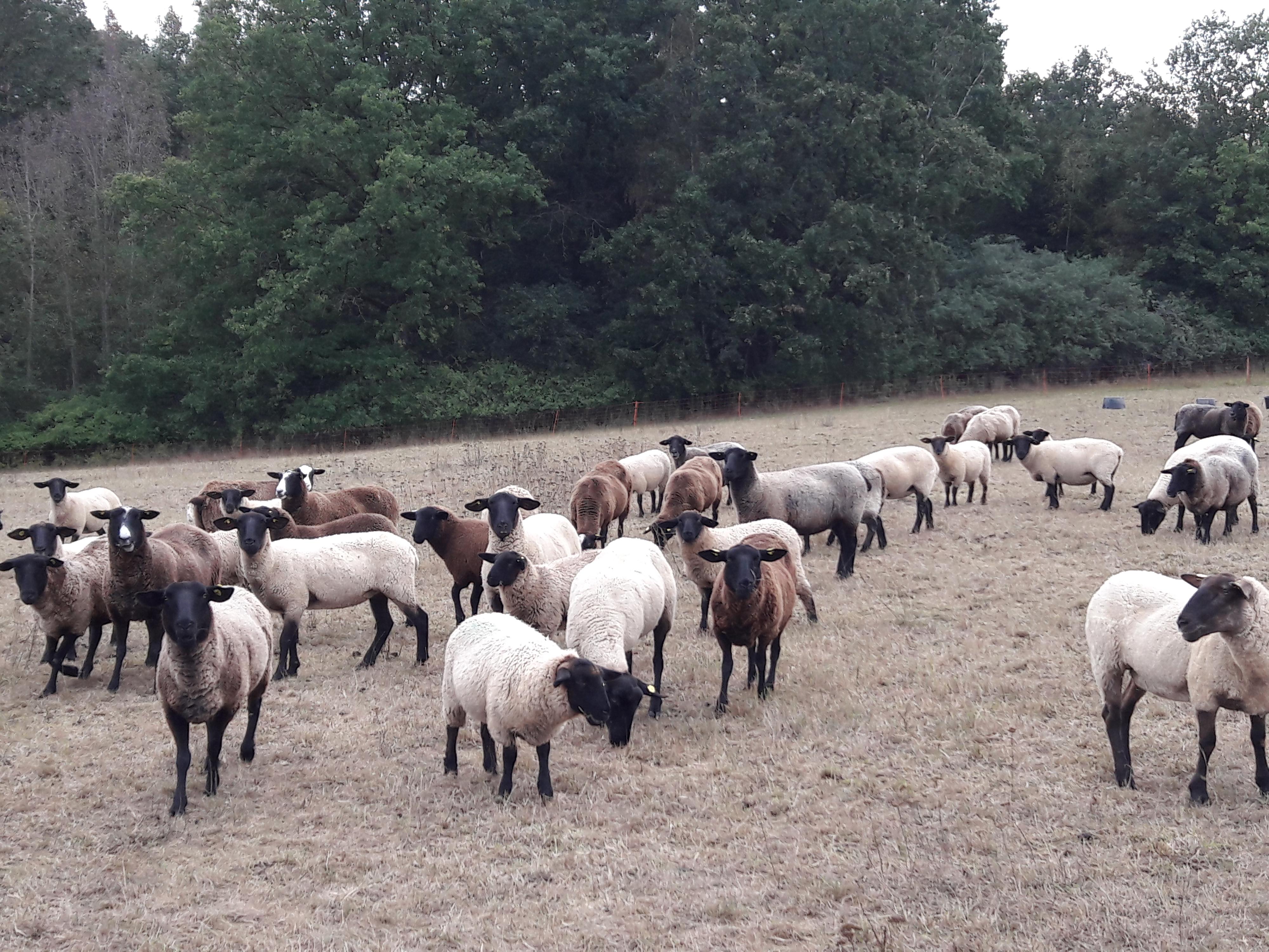 Biofarma Moudrý foto 2