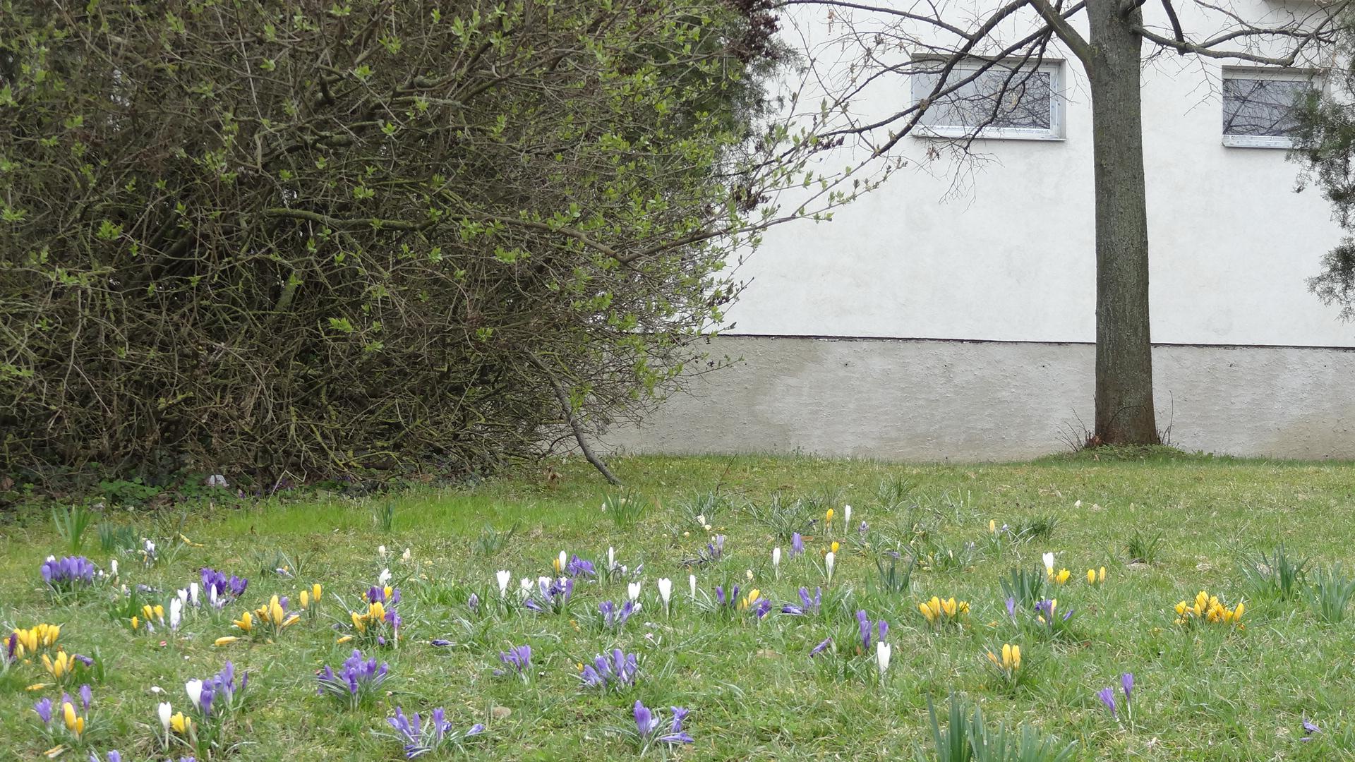 Tělocvičná jednota Sokol Řečkovice foto 2