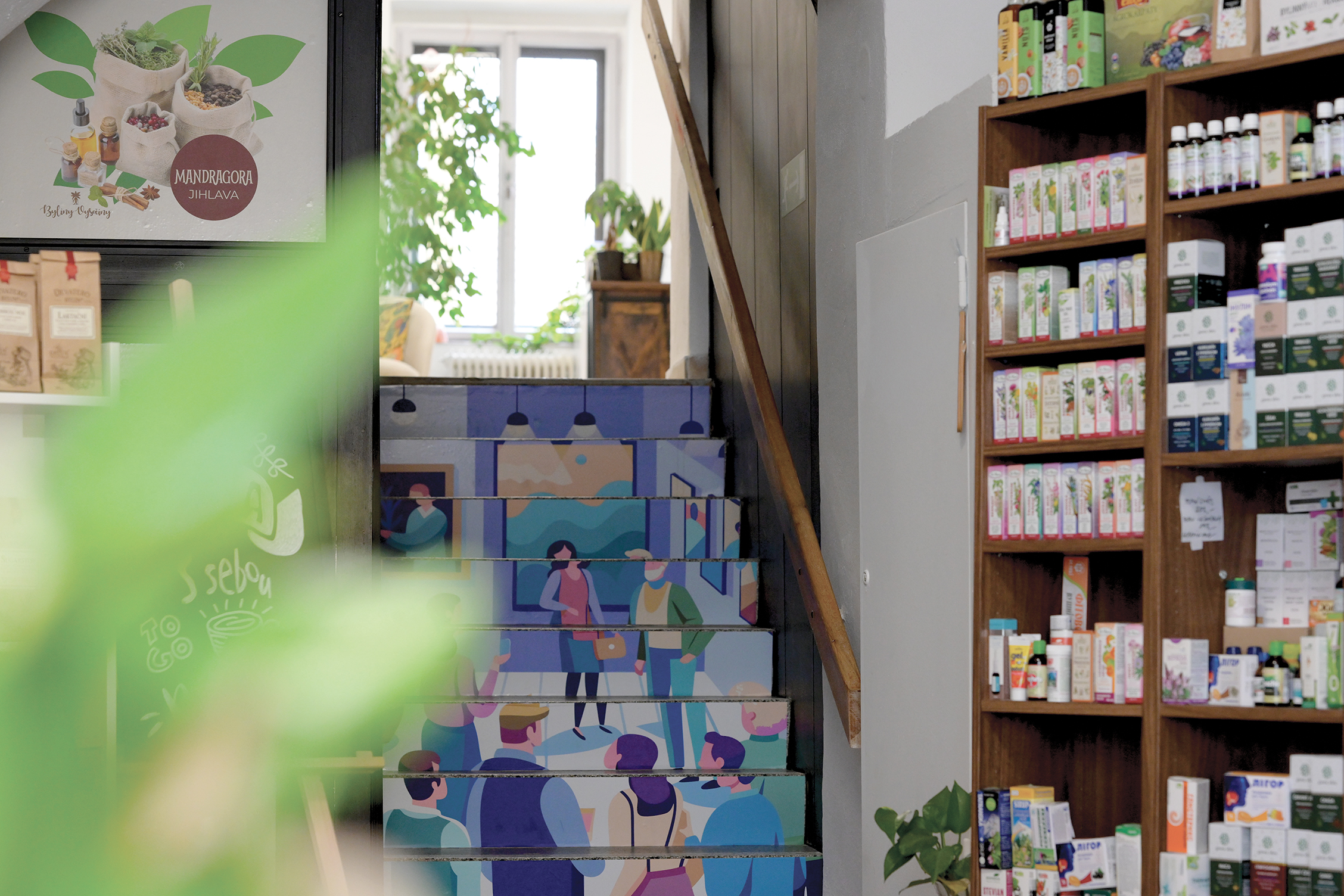 Mandragora Jihlava