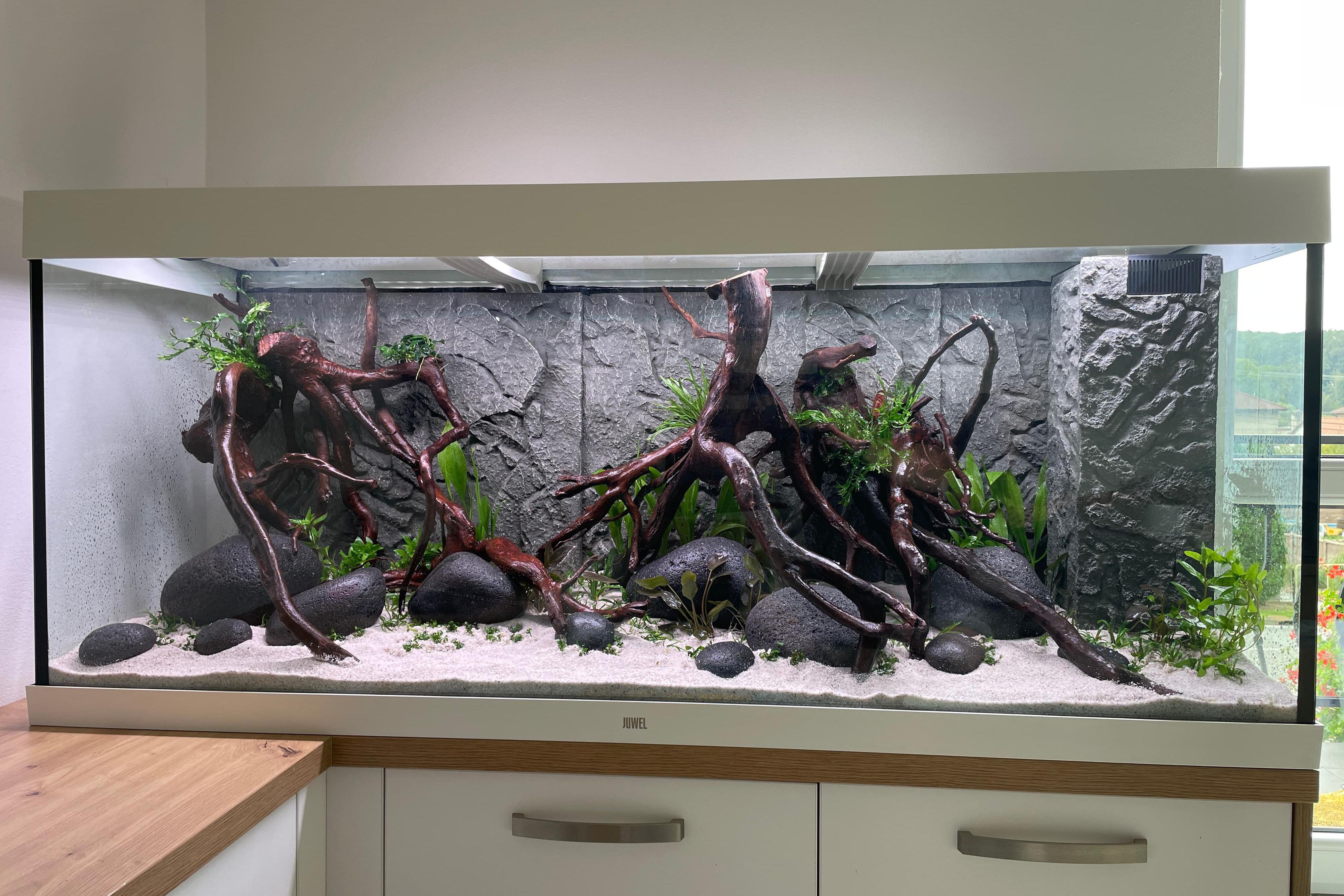 Realizace a údržba akvárií