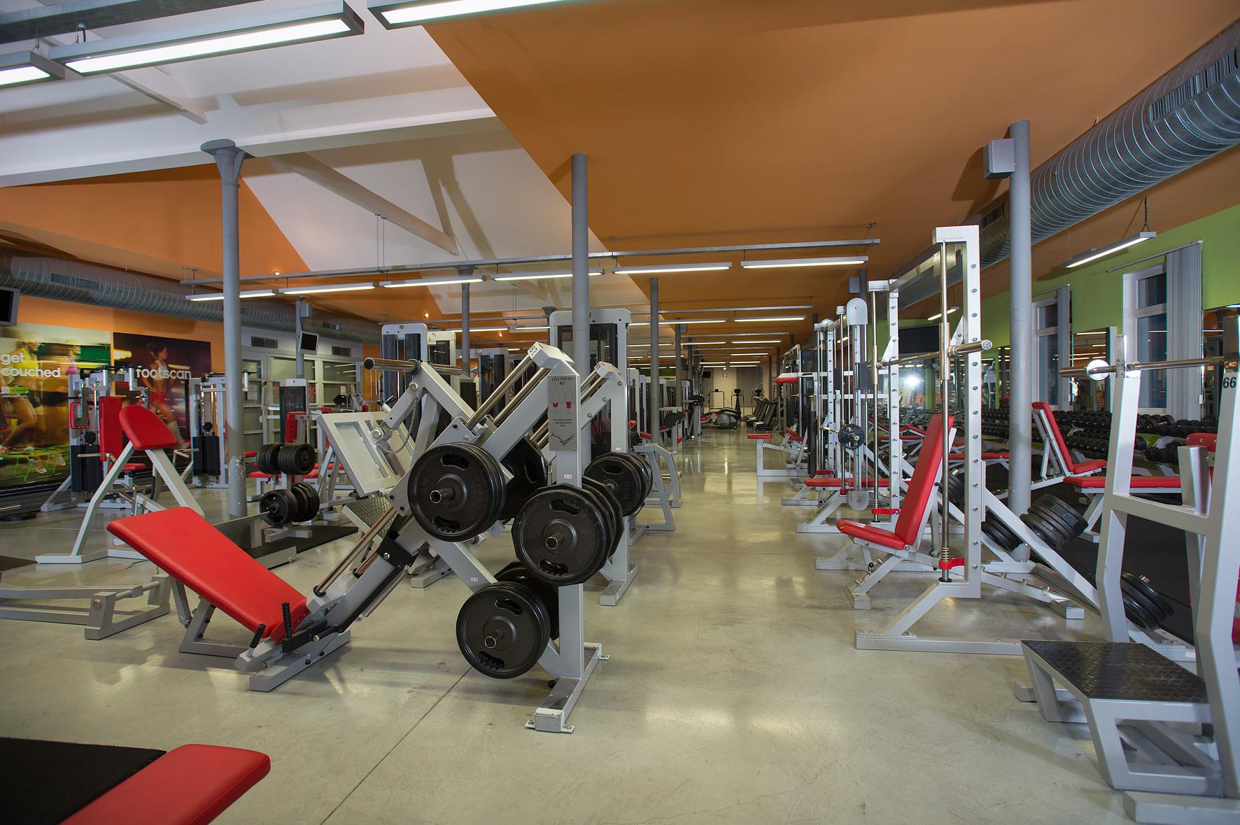 BIG ONE FITNESS – Mendlák