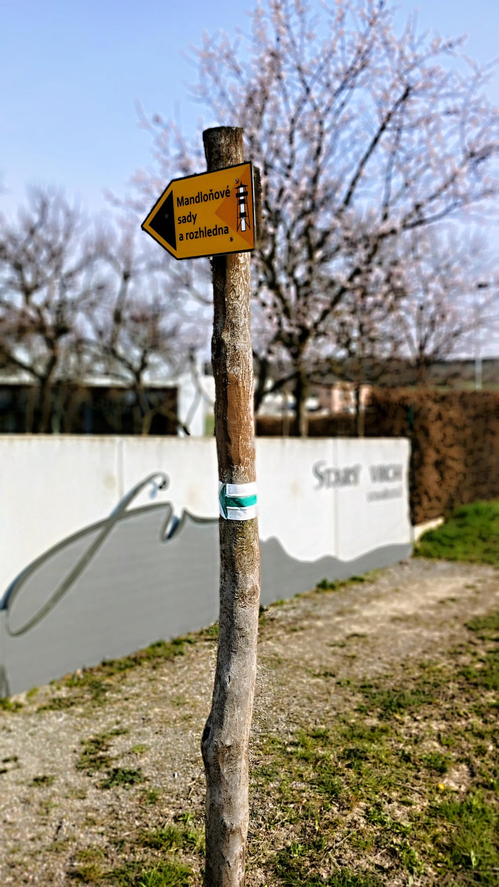 Vinařství Starý vrch foto 3