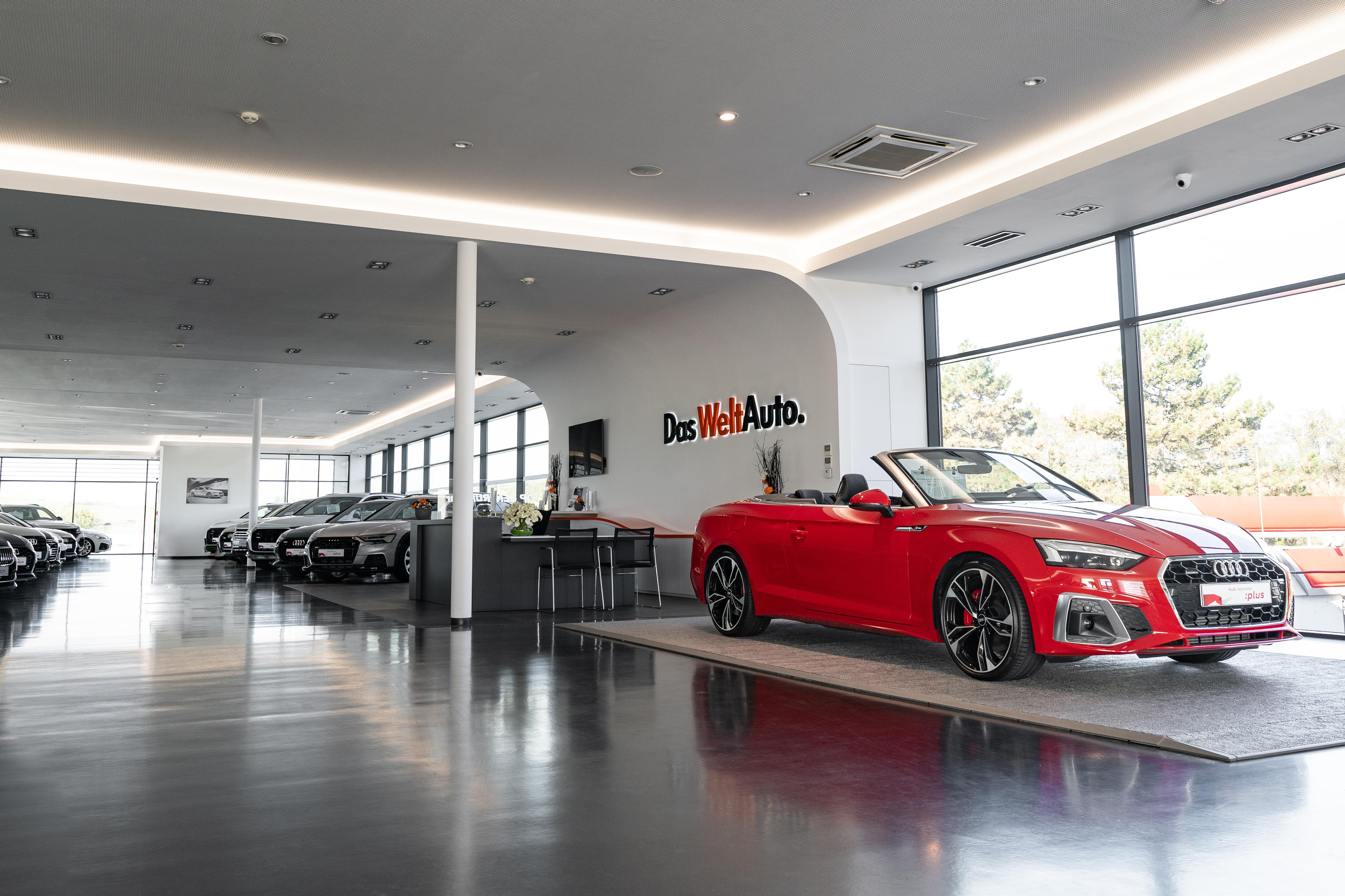TOP CENTRUM car Das Welt Auto - Kyjov