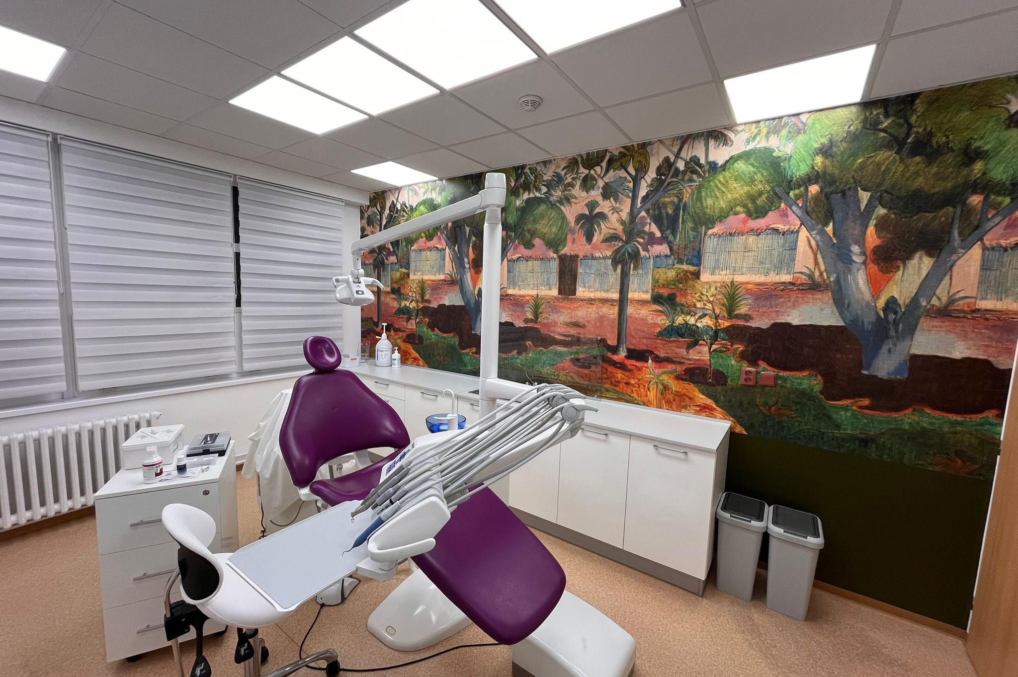 Zuzana Nováková, DiS. dentální hygiena