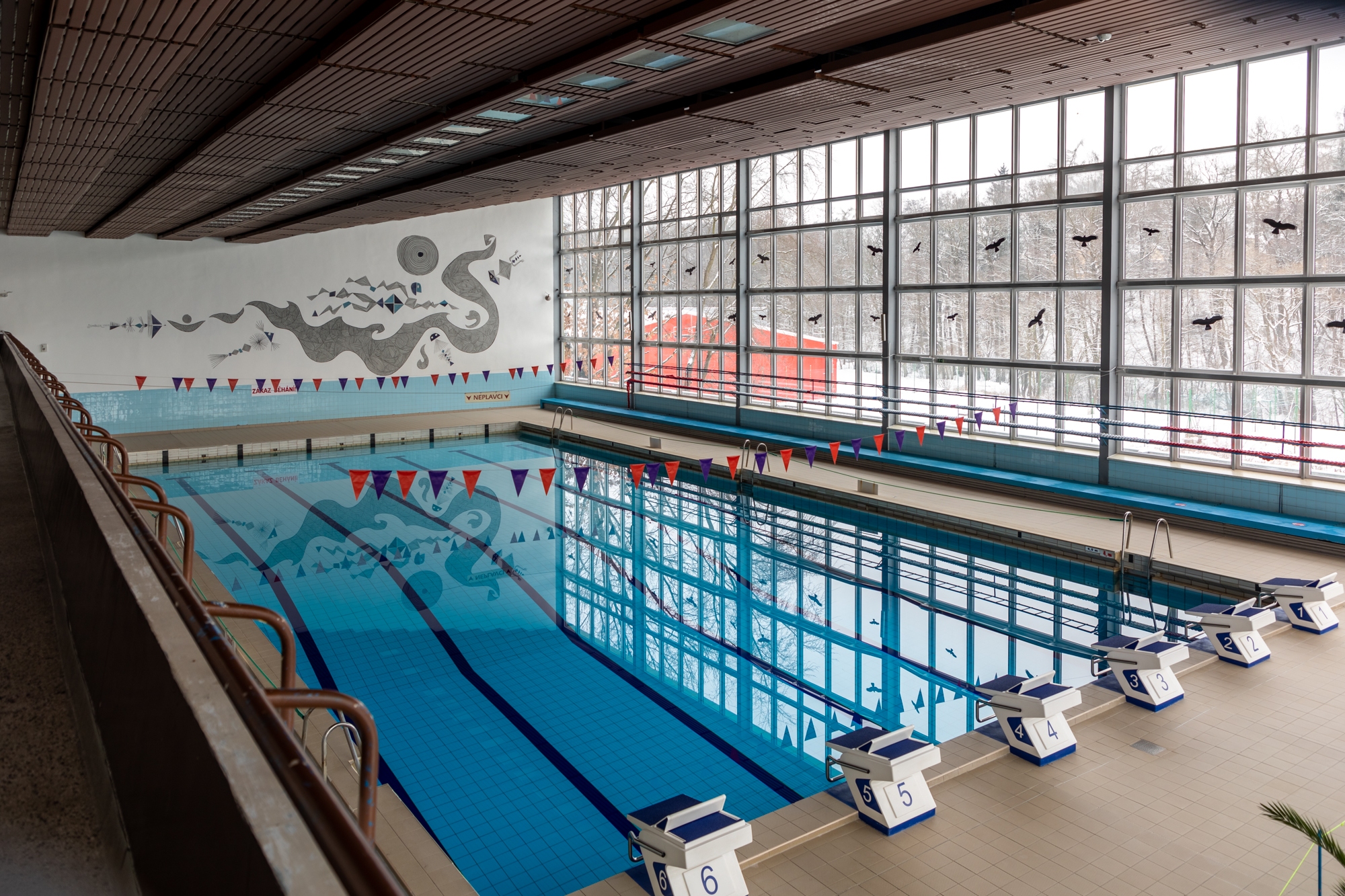 Správa sportovních a rekreačních zařízení Havířov foto 3