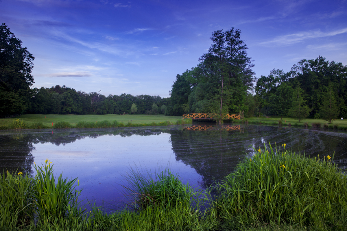 Silesia Golf Resort Kravaře foto 6
