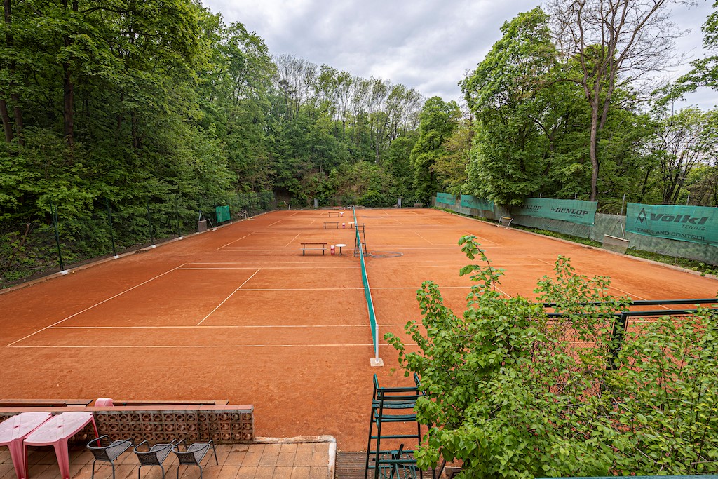 Tělocvičná jednota Sokol Brno-Žabovřesky foto 3