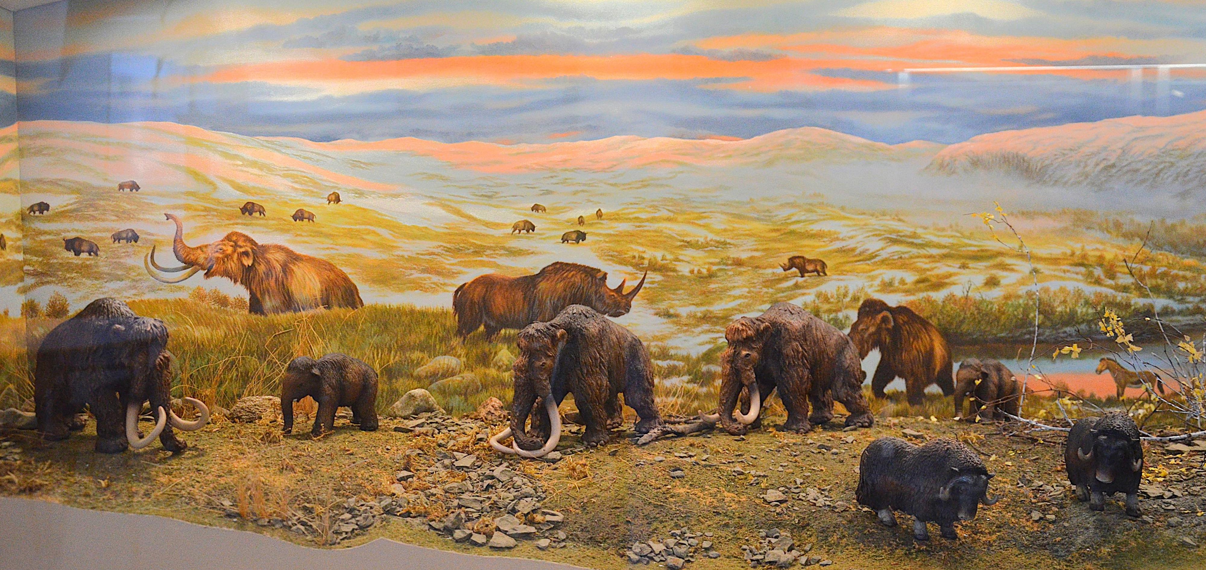 Muzeum Českého krasu foto 2