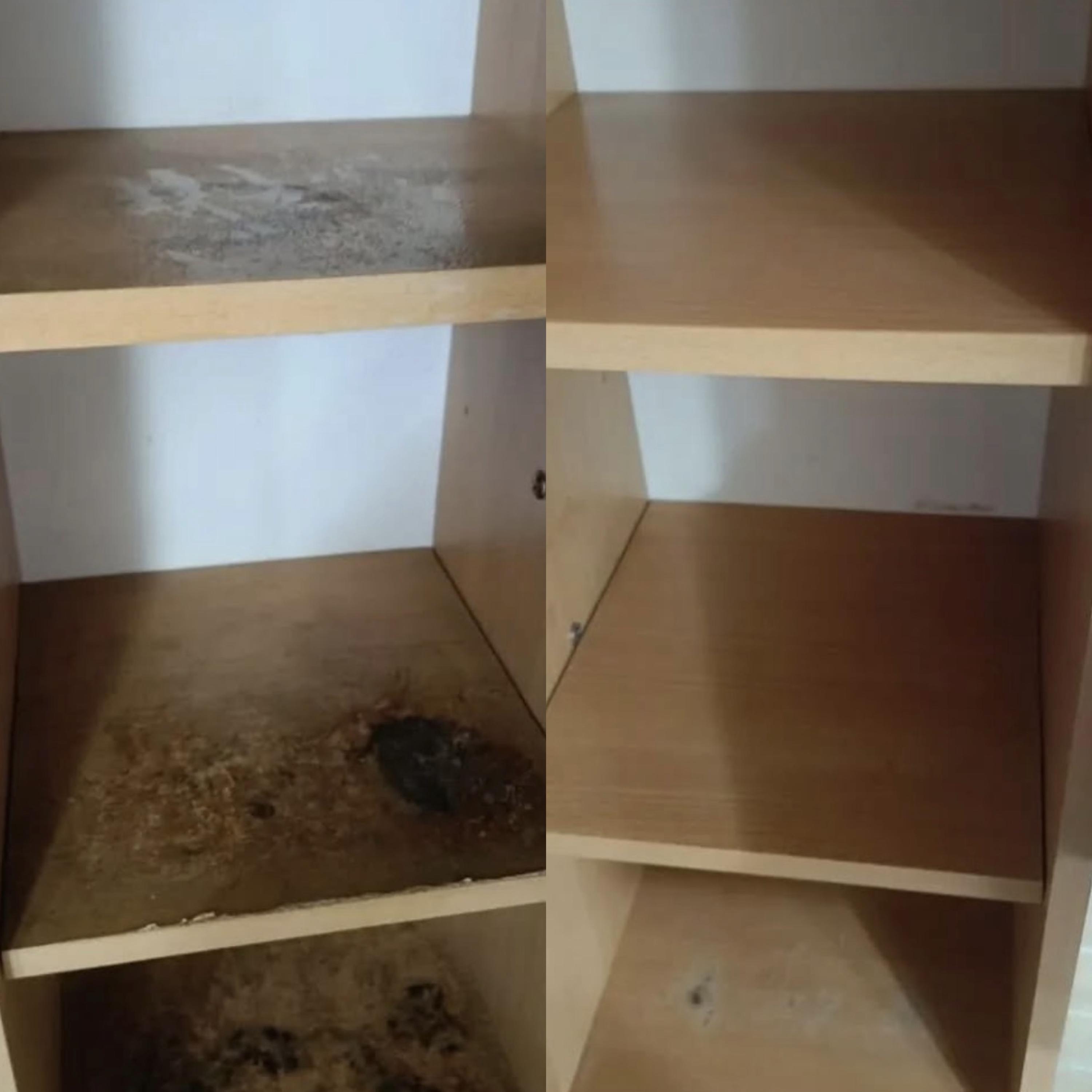 Kompletní Úklid foto 3