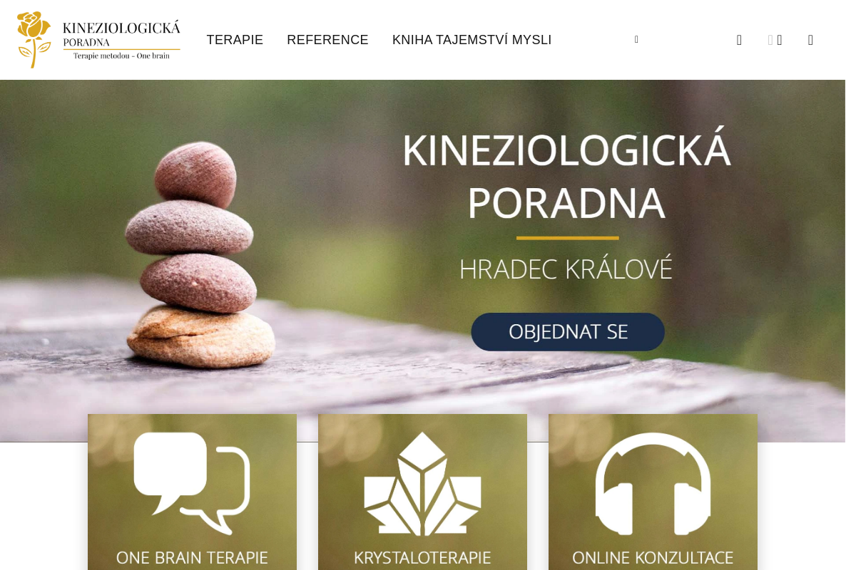Poradna-kineziologie.cz