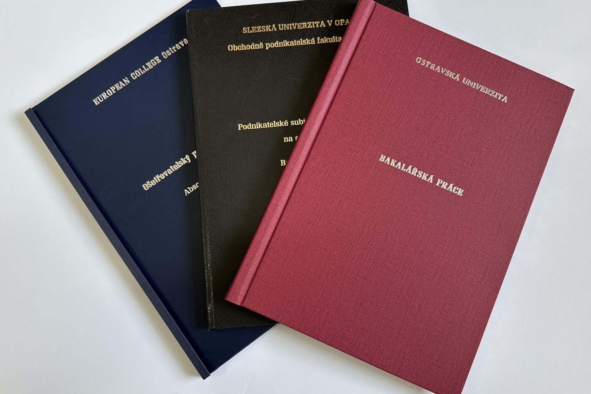 Bakalářské a diplomové práce