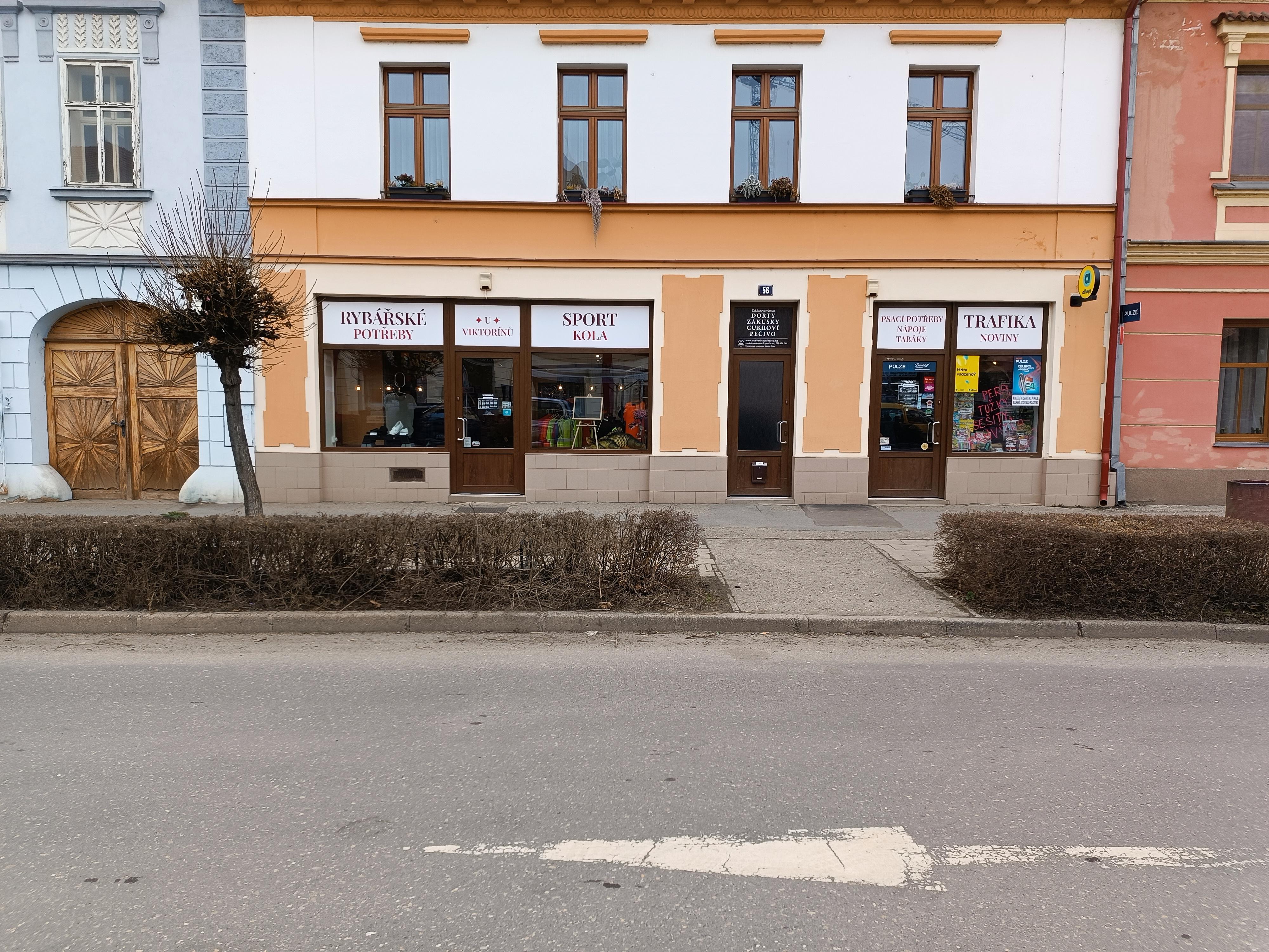 Petra Viktorínová