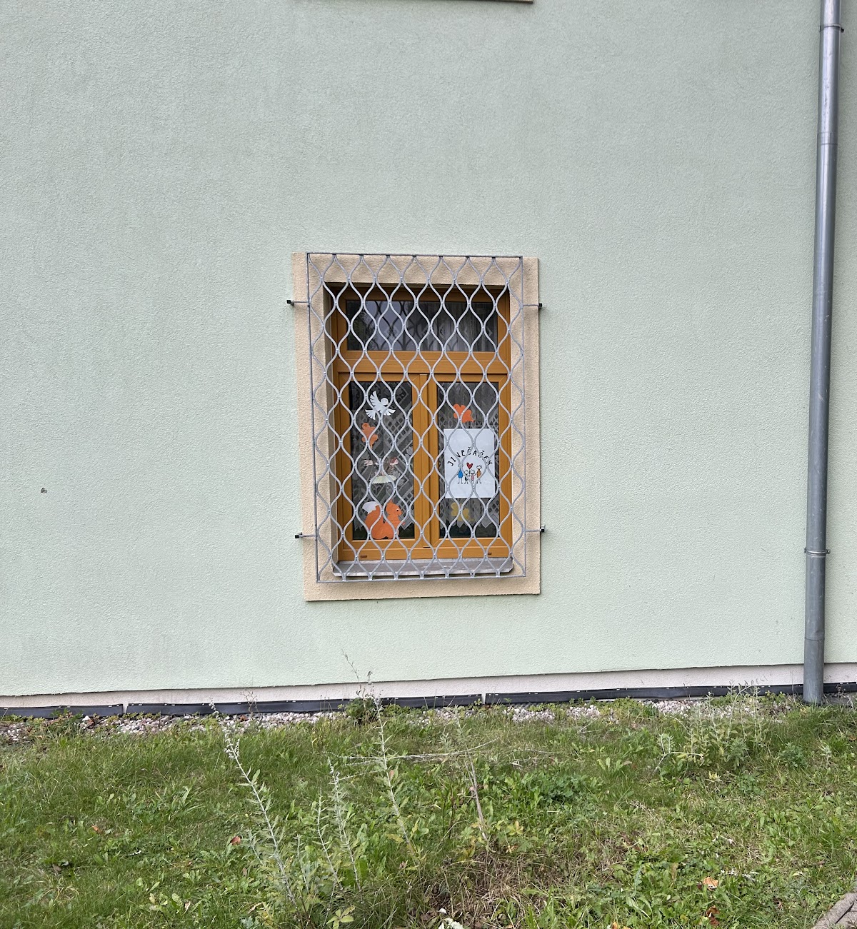 Jinečáček foto 5