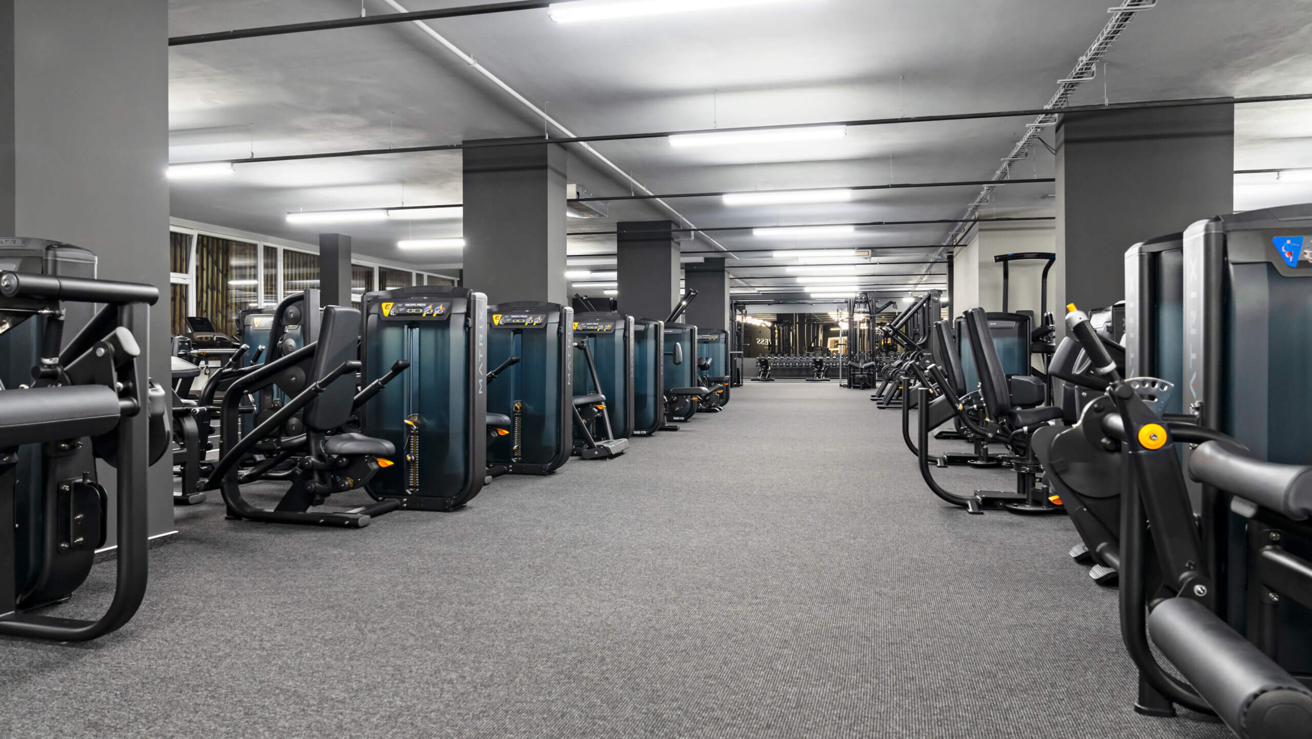 Max Fitness Lochotín foto 4