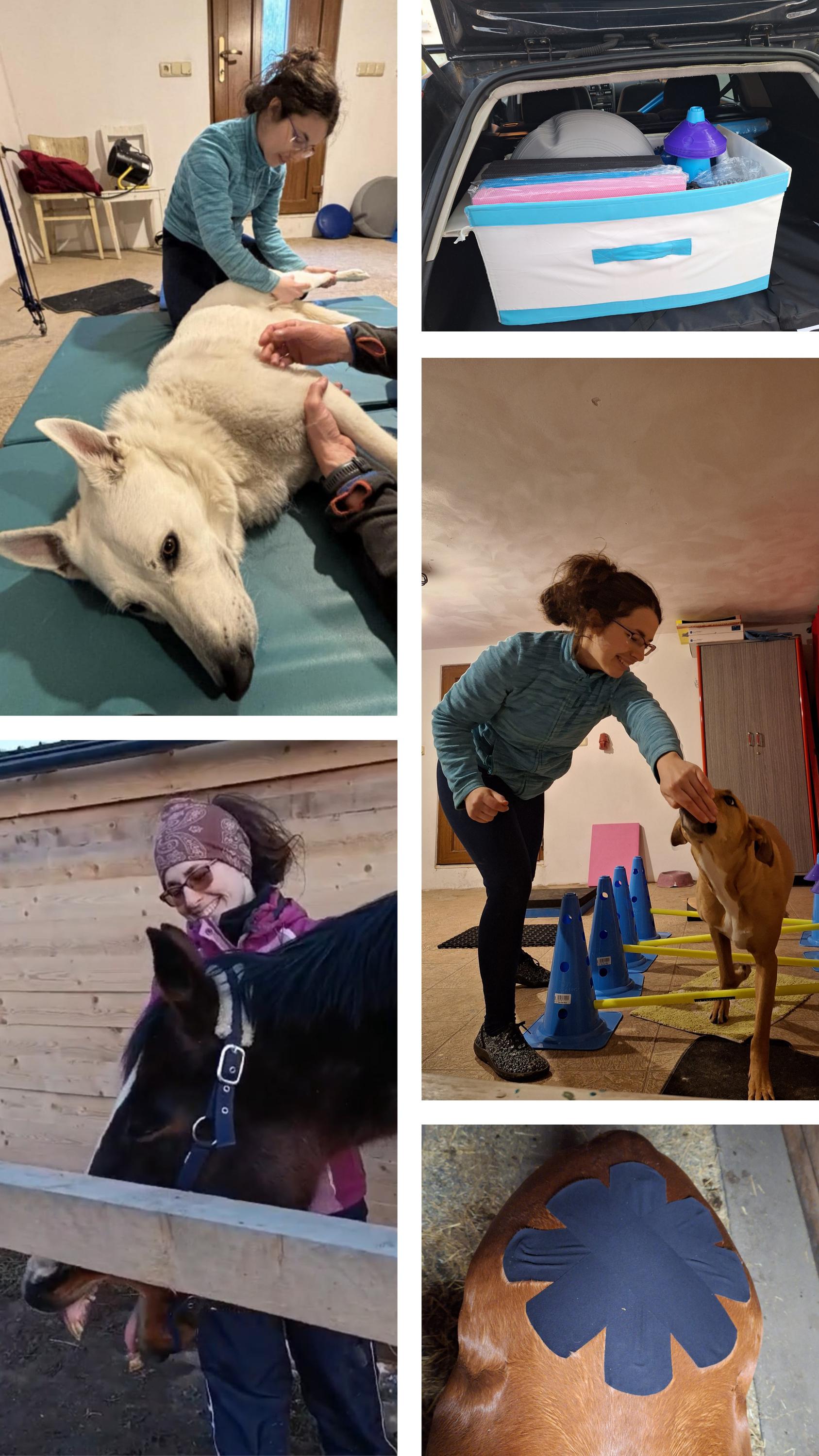 Touch for Animals - Sára Němečková, DiS. foto 2