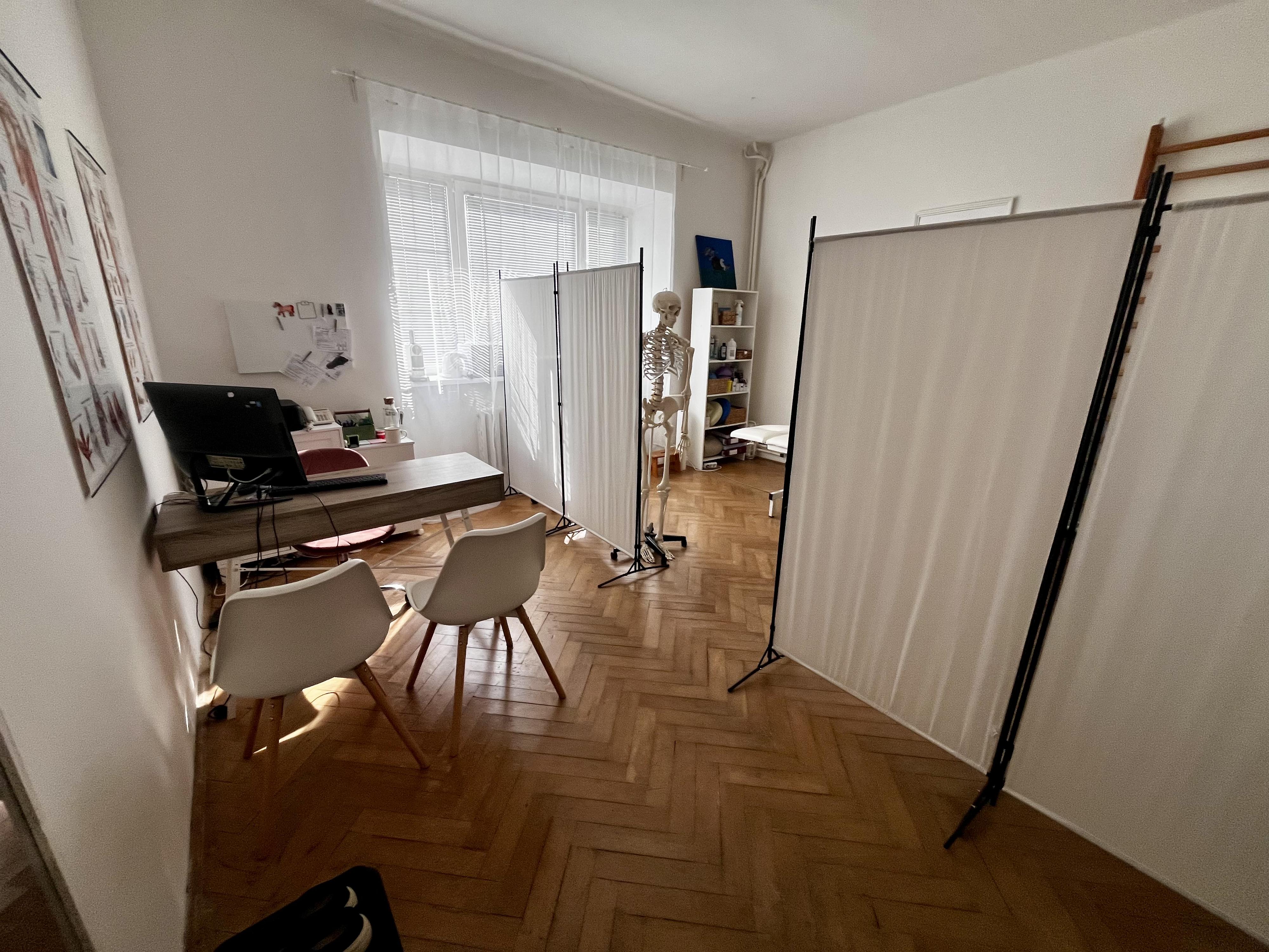 DIC Fyzioterapie foto 2