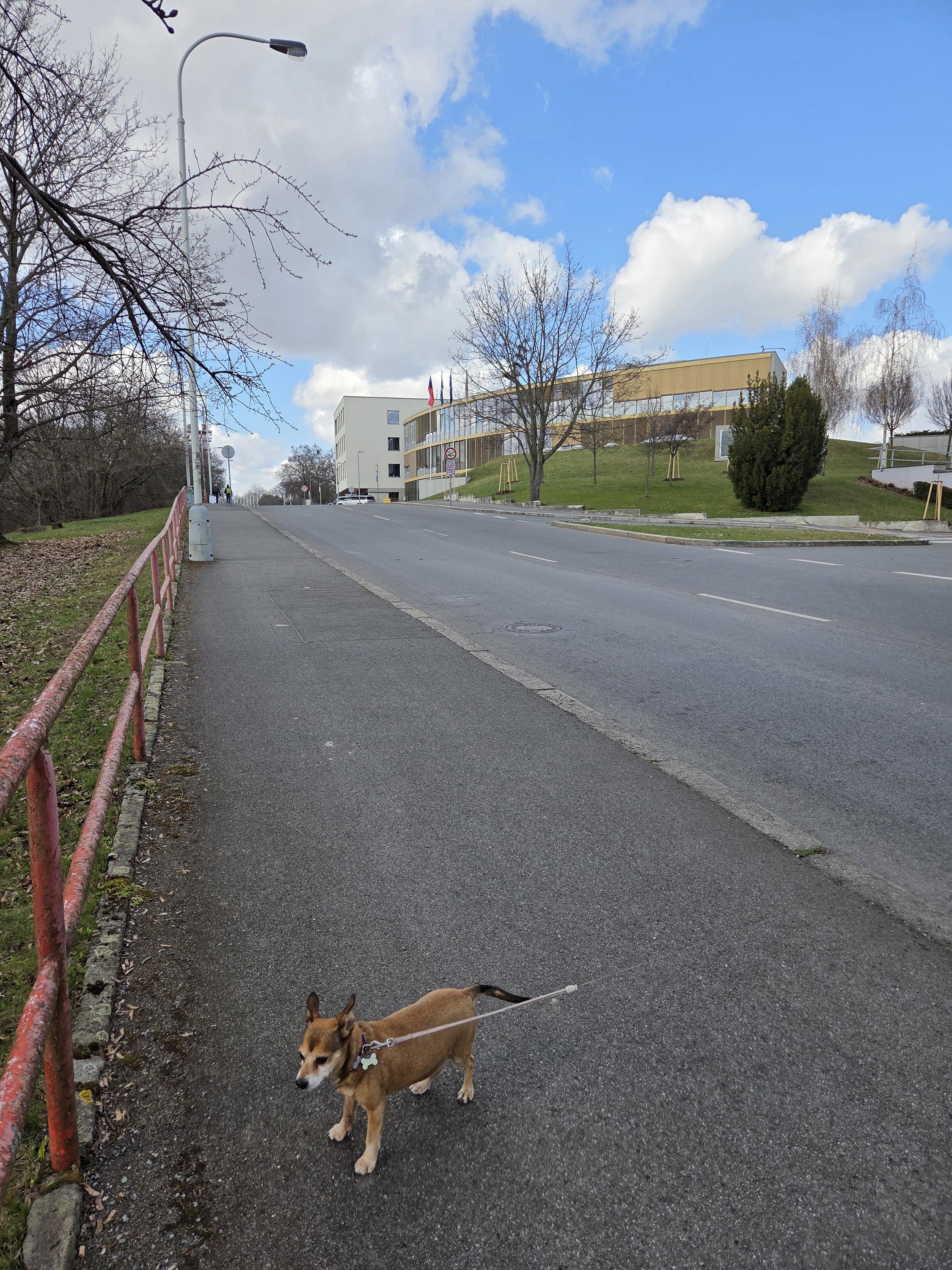 Fotbalová asociace České republiky foto 2