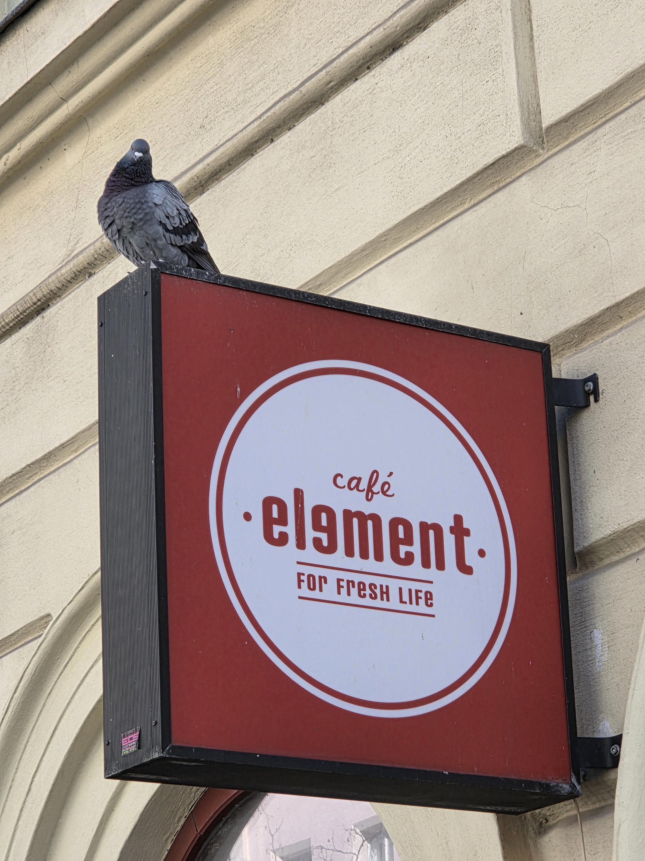 Café Element foto 5