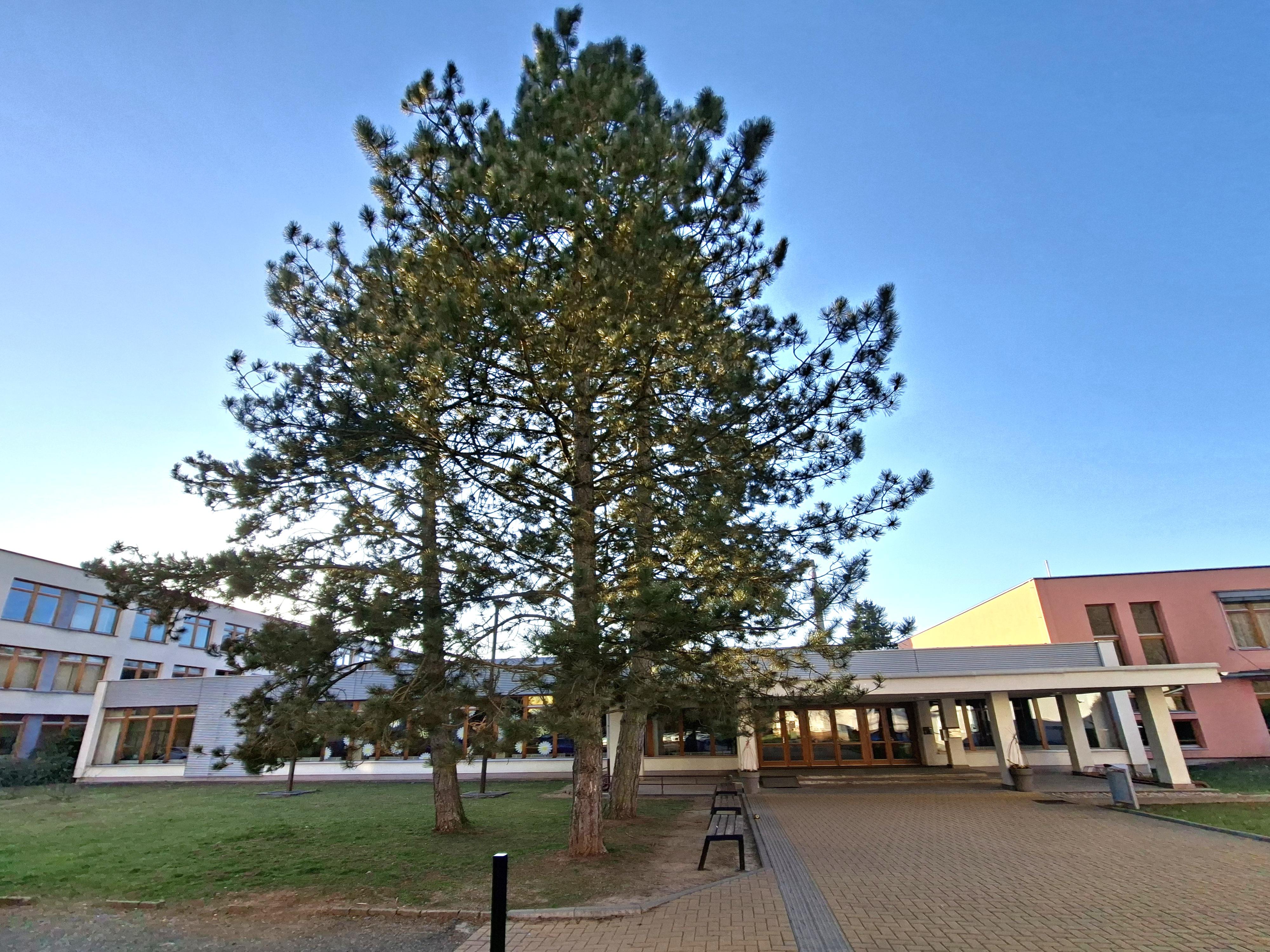 ZŠ Dr. Františka Ladislava Riegra Semily foto 6