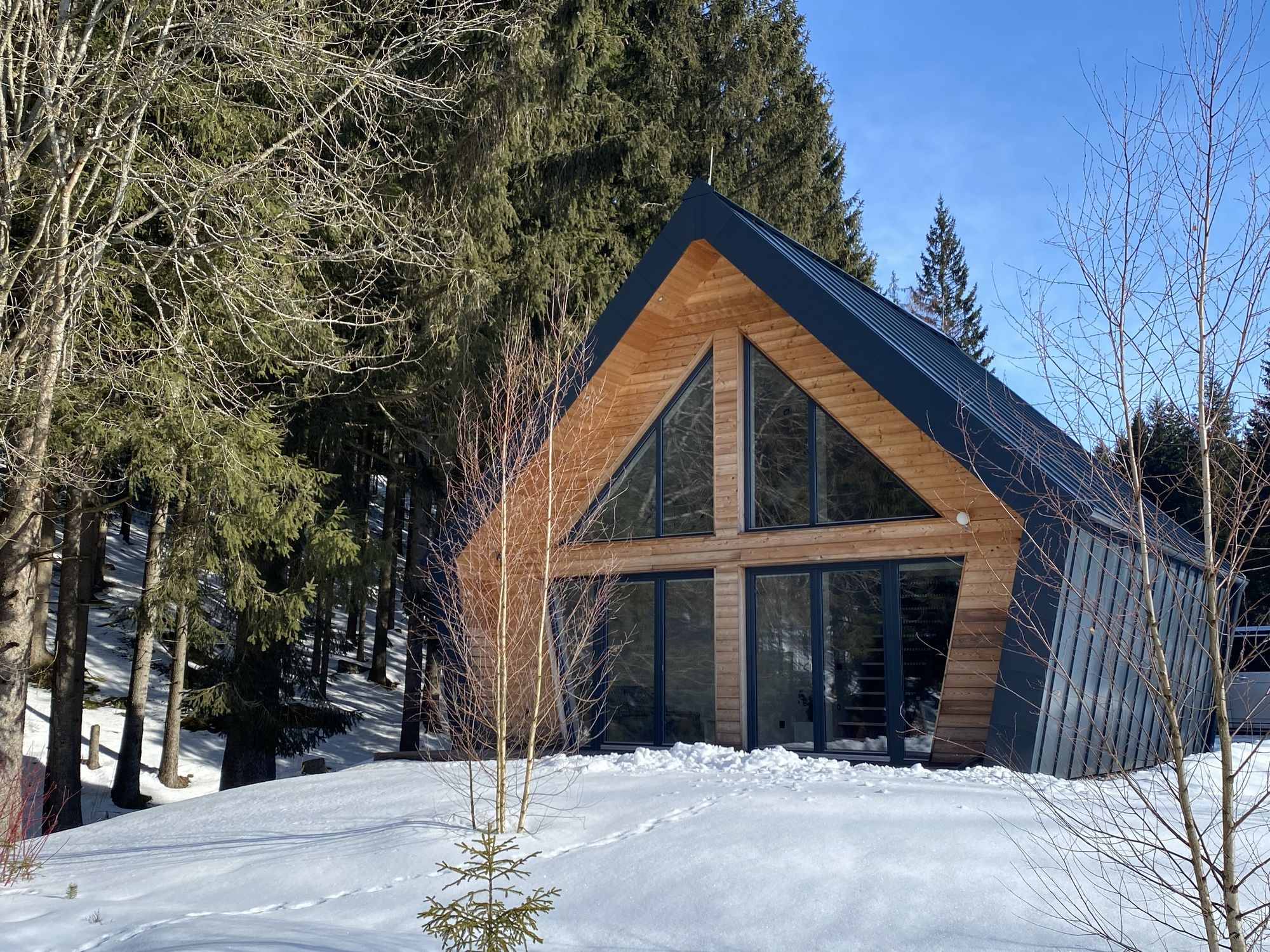 Chalet Belveder SPORT