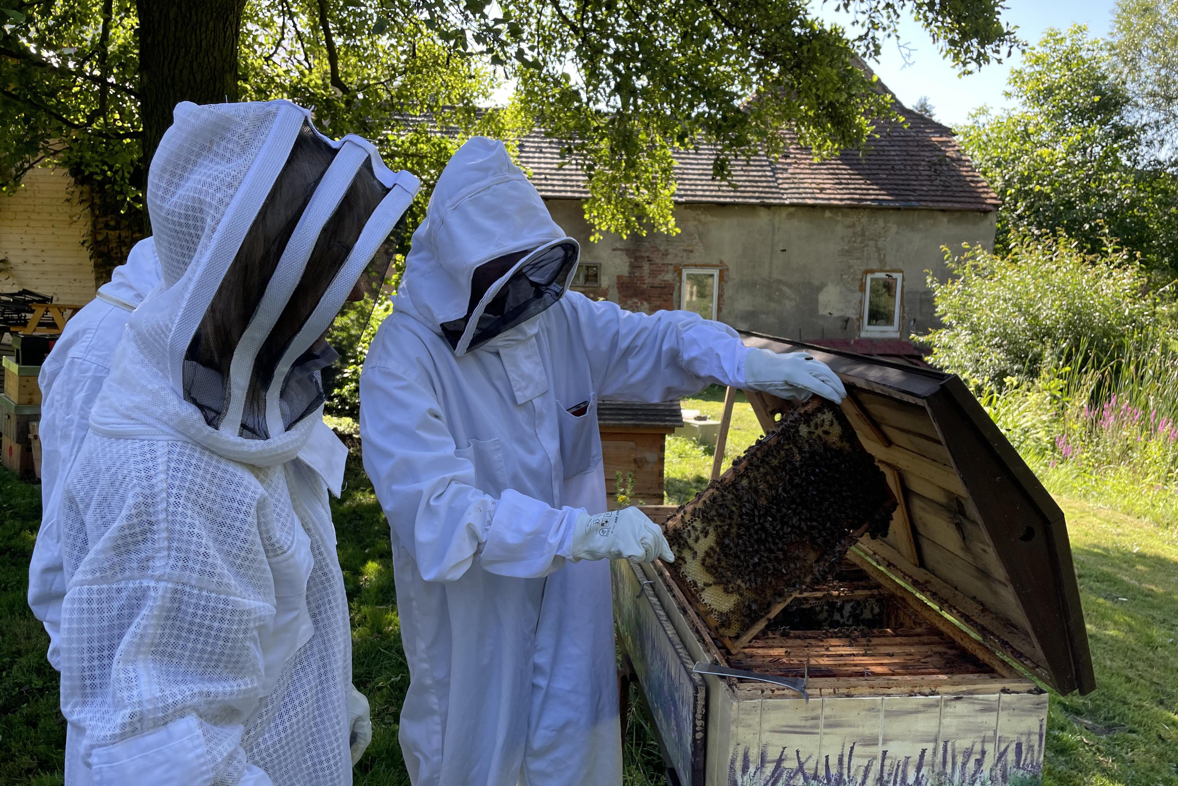 Exkurze na včelí farmě