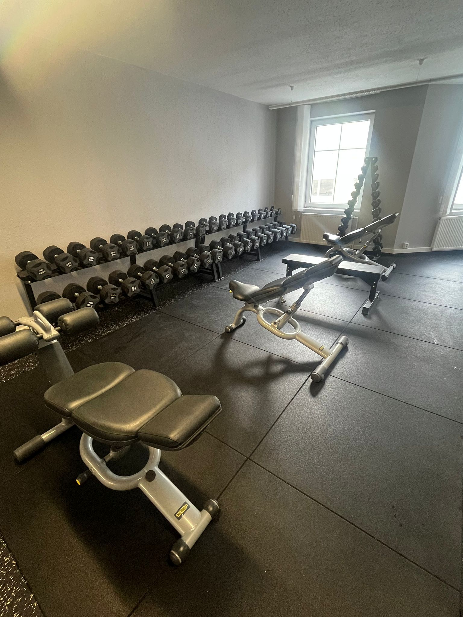 Gym Rat Family foto 6
