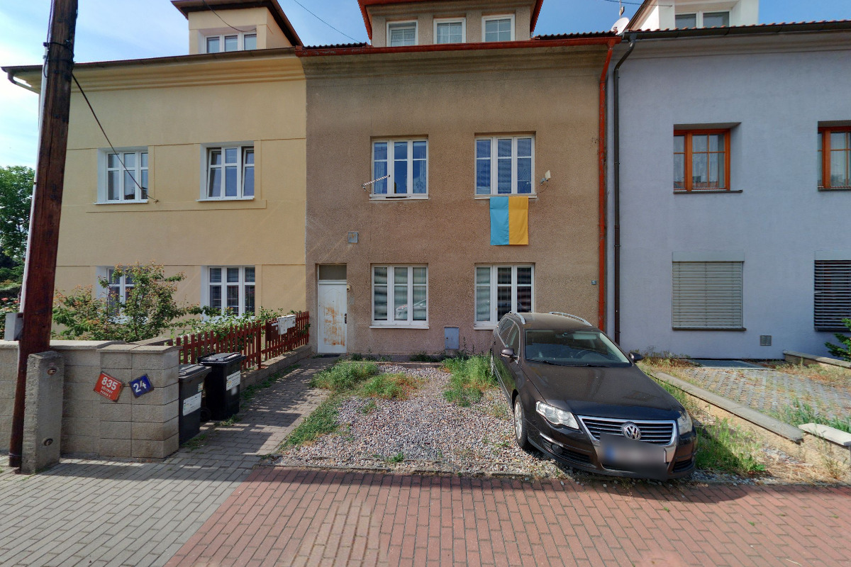 Little gold line foto 2