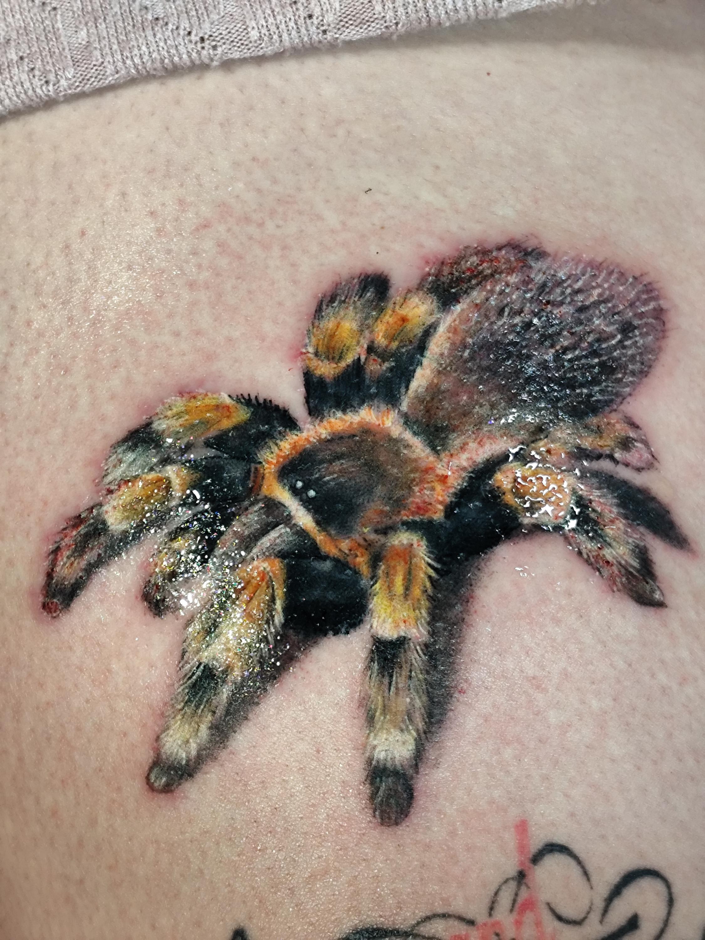 greyfoxtattoo foto 2