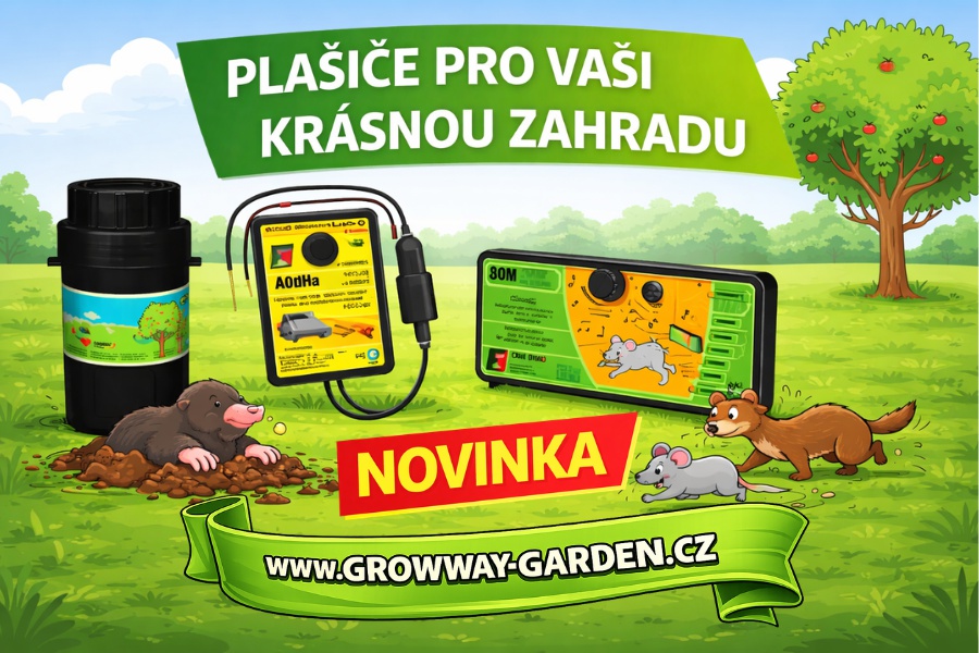 NOVINKA V NAŠÍ NABÍDCE