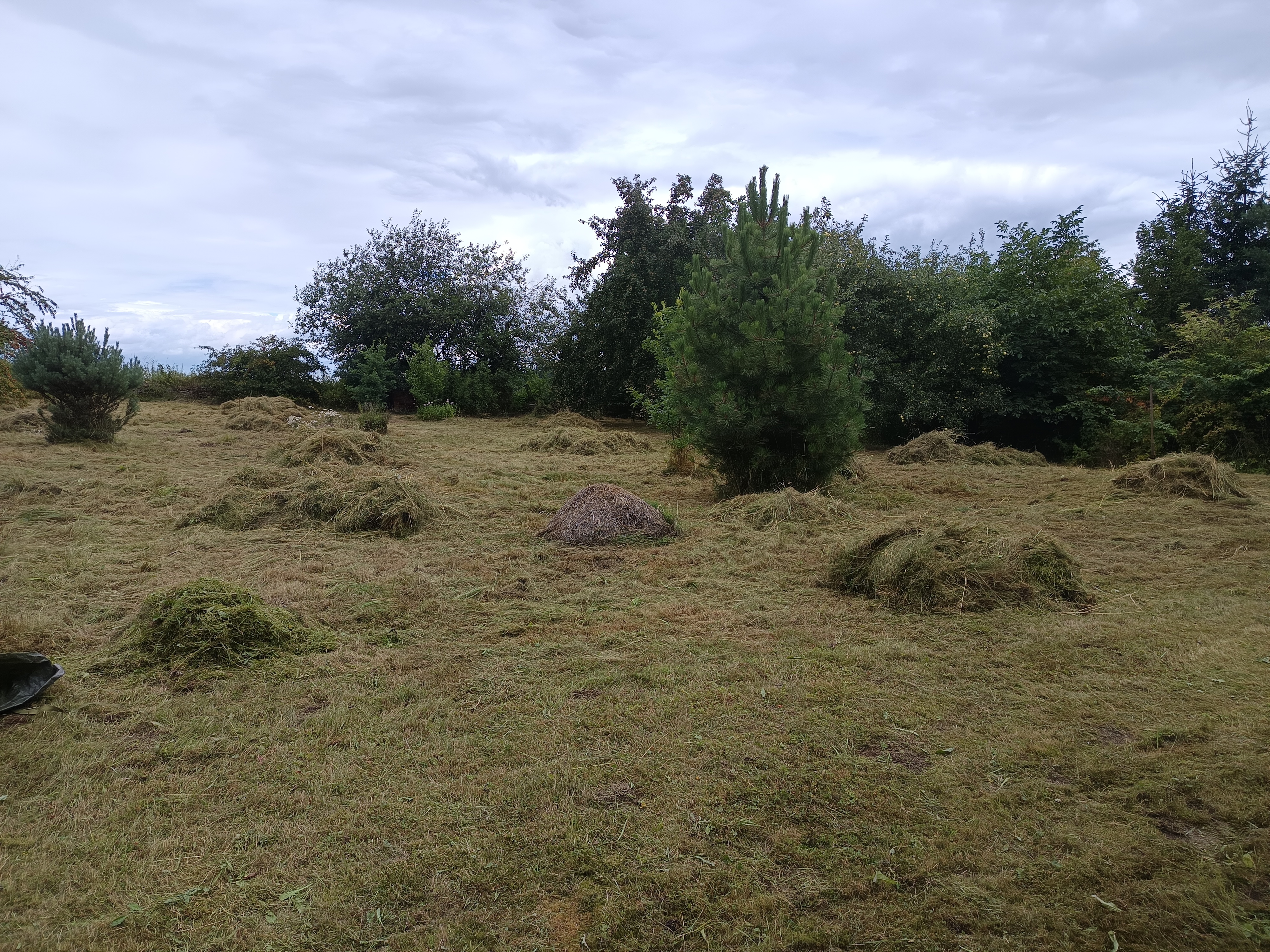 Agrolesík Mydloch foto 5
