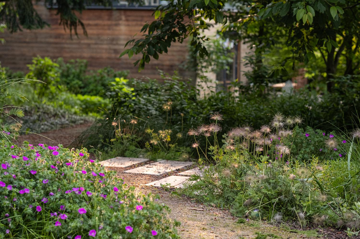 Zahradní a krajinářská architektura - Kateřina Svobodová