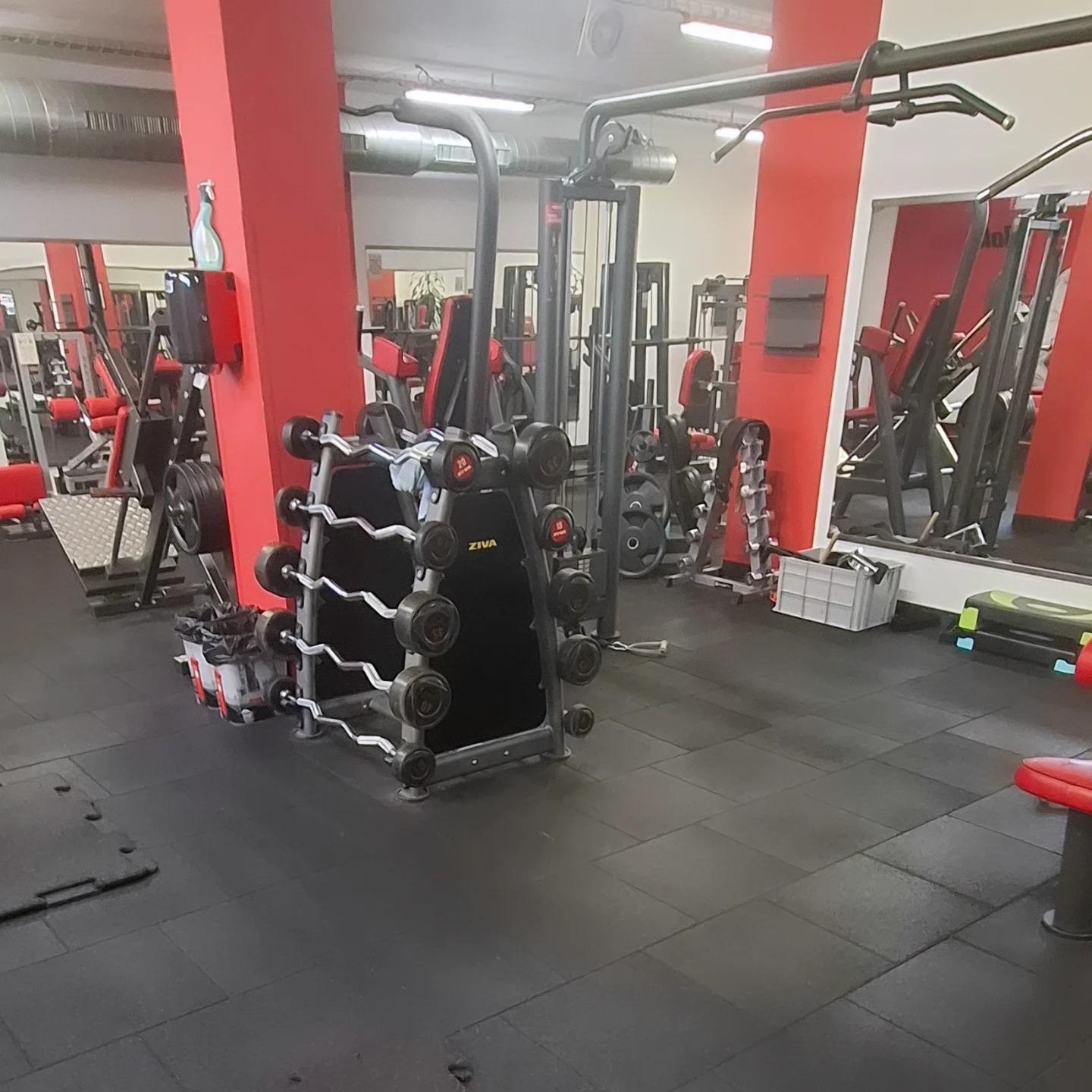 BoldGym foto 6