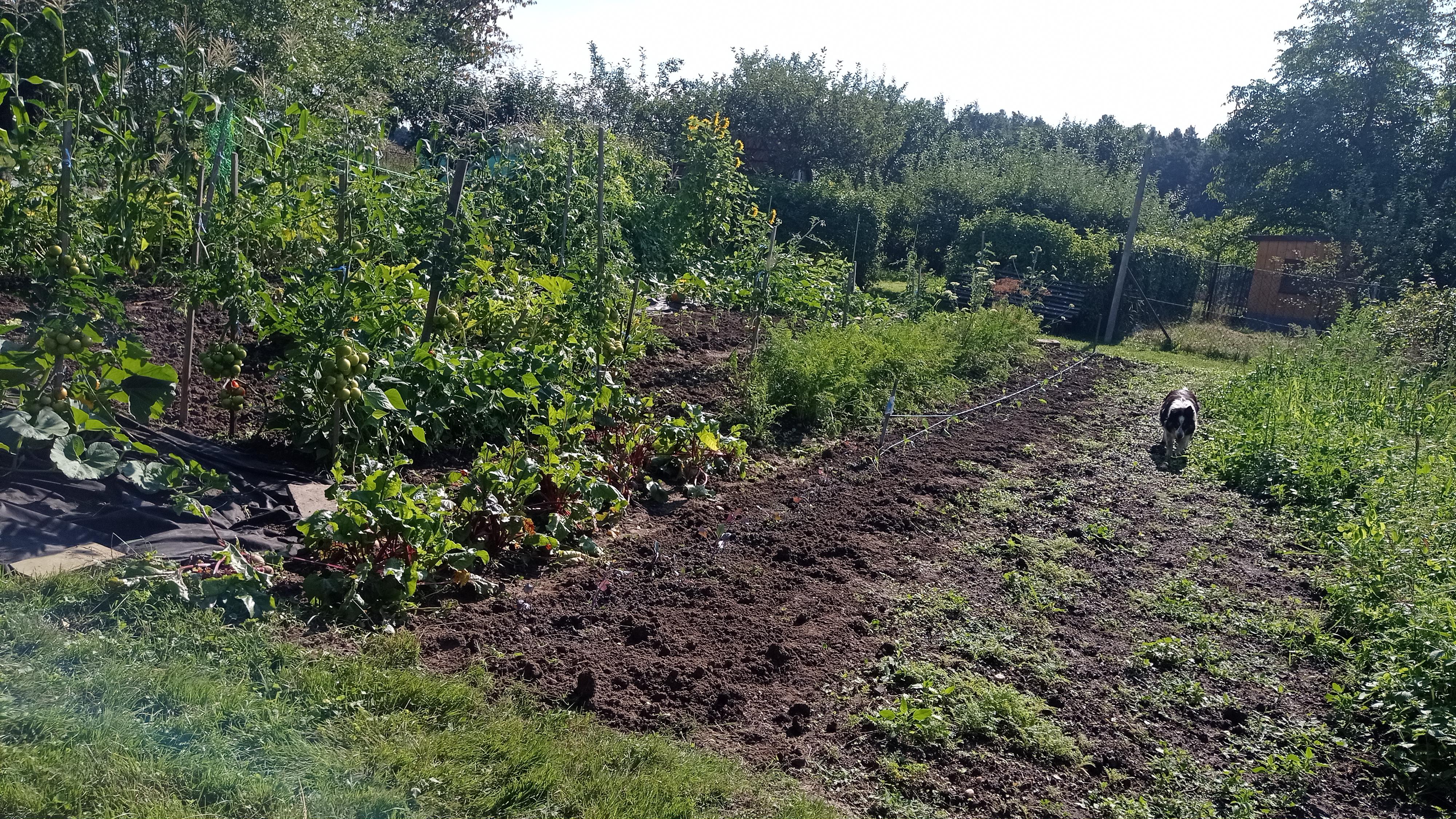 Fajné Hospodářství foto 3