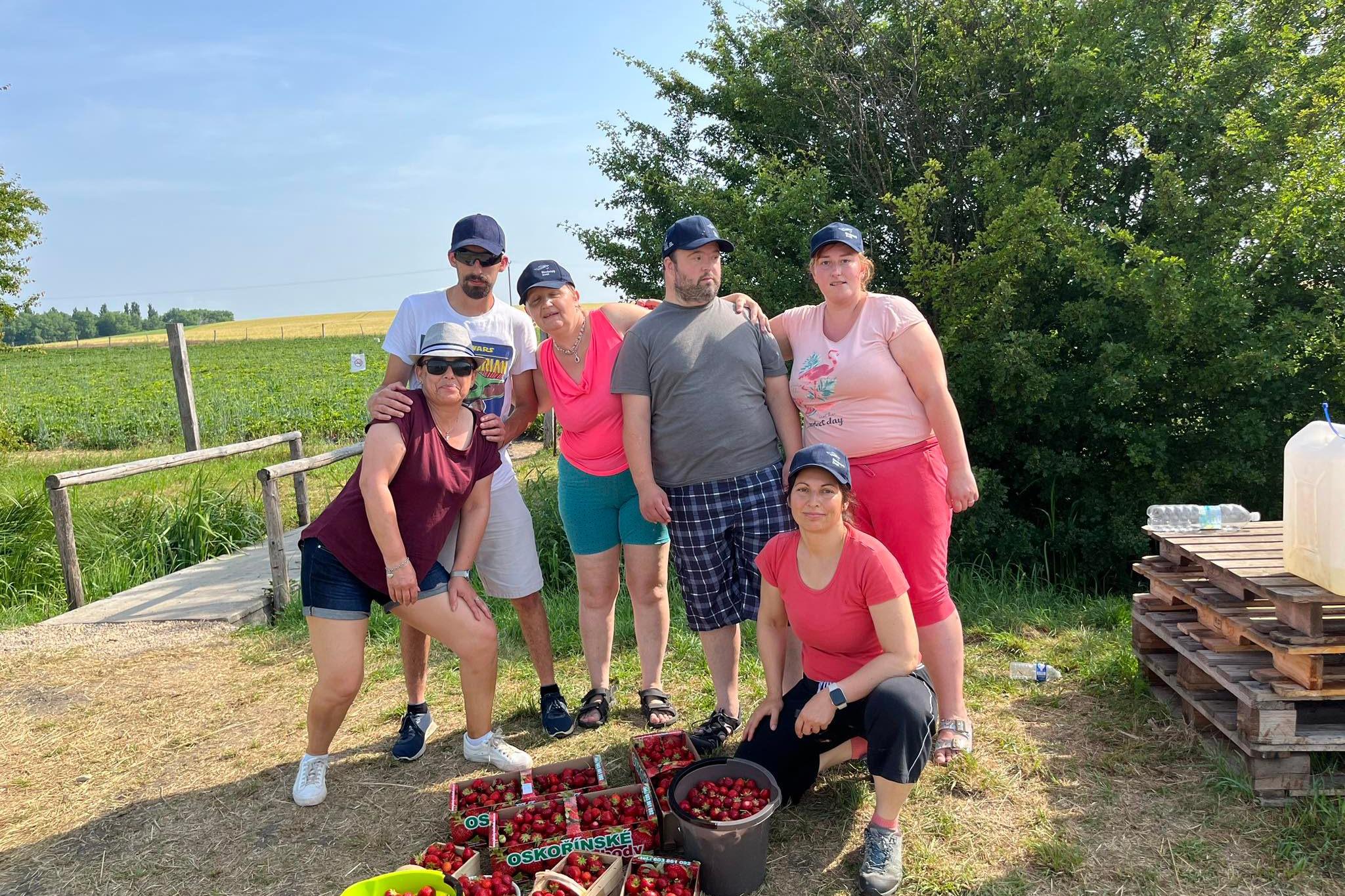 Chráněná dílna Na Baště