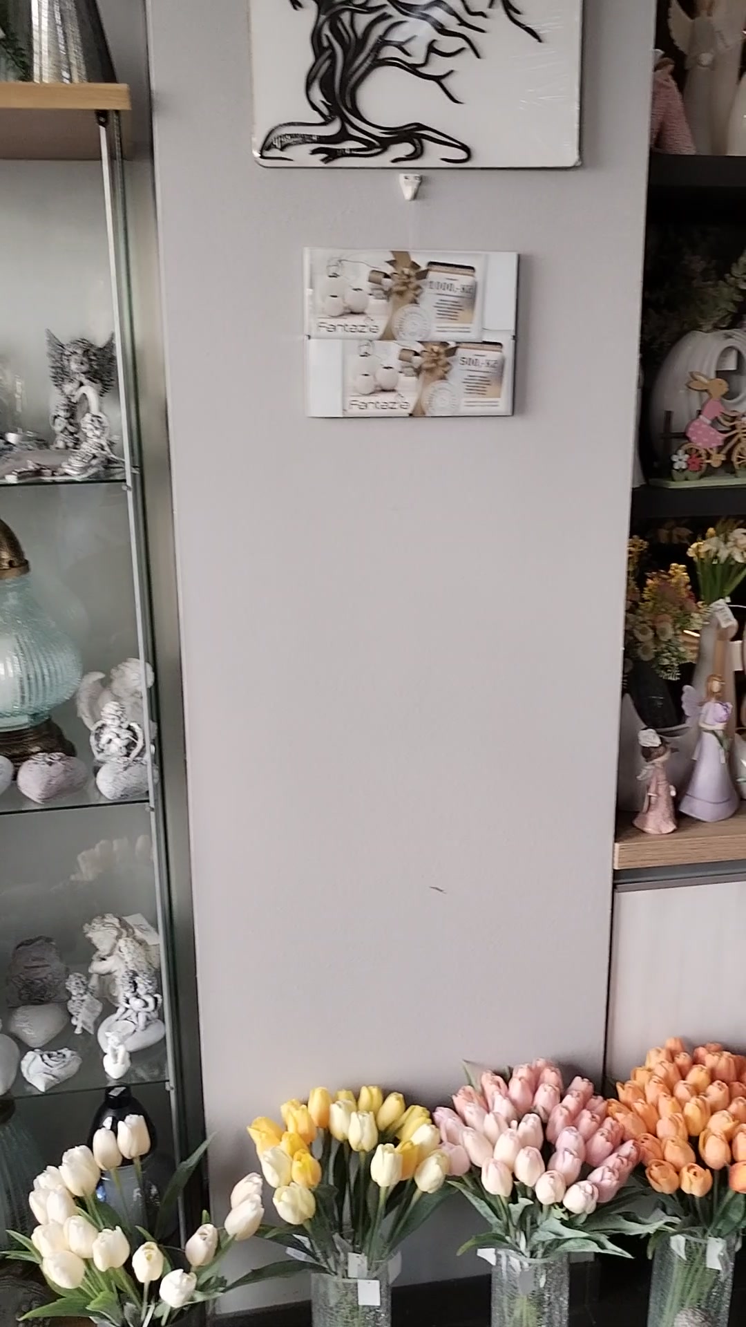 FANTAZIA foto 2 (náhled videa)