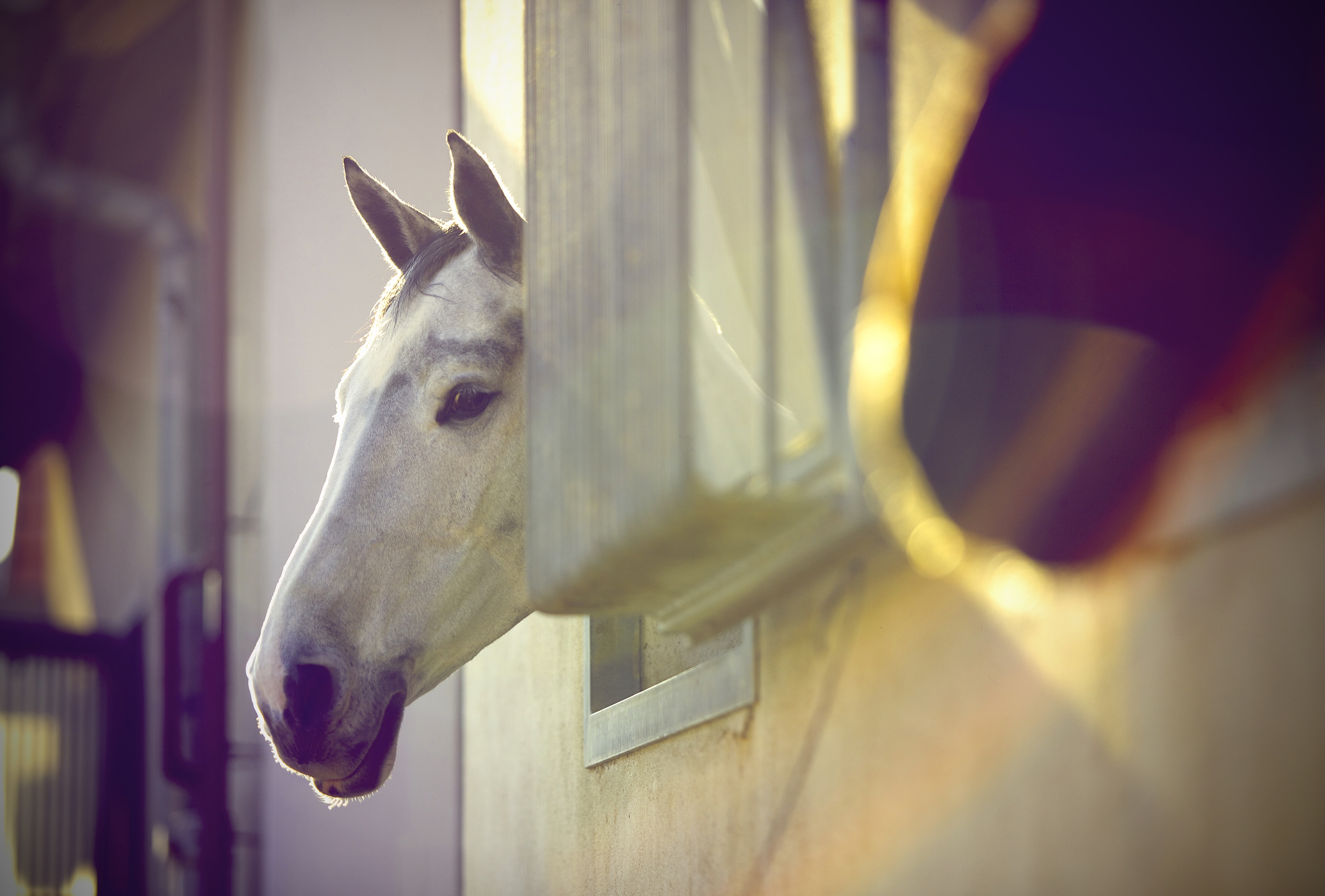 Jezdecké centrum Dvůr Hoffmeister