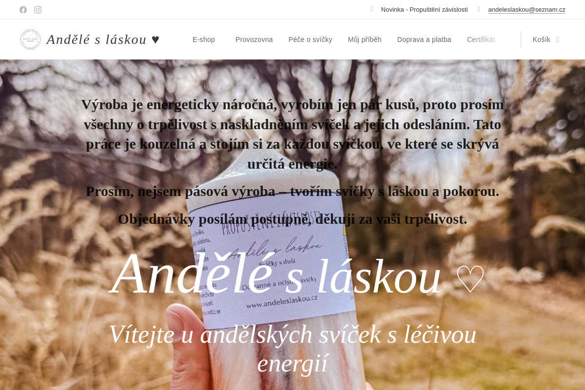 Andělé s láskou - Barbara Zouharová