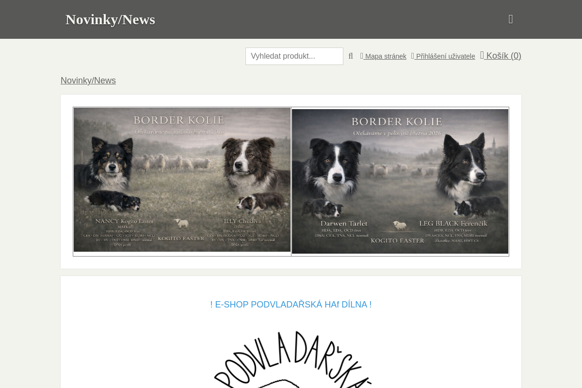 Kogitoeaster.websnadno.cz