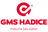logo GMS hadice