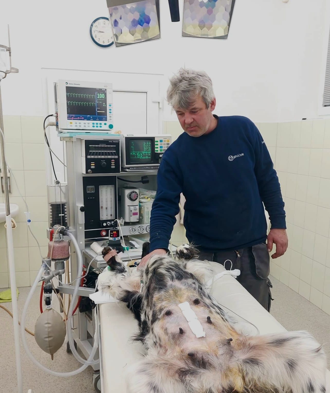 Veterinární ambulance MVDr. Ivo Grygar, CSc. foto 2