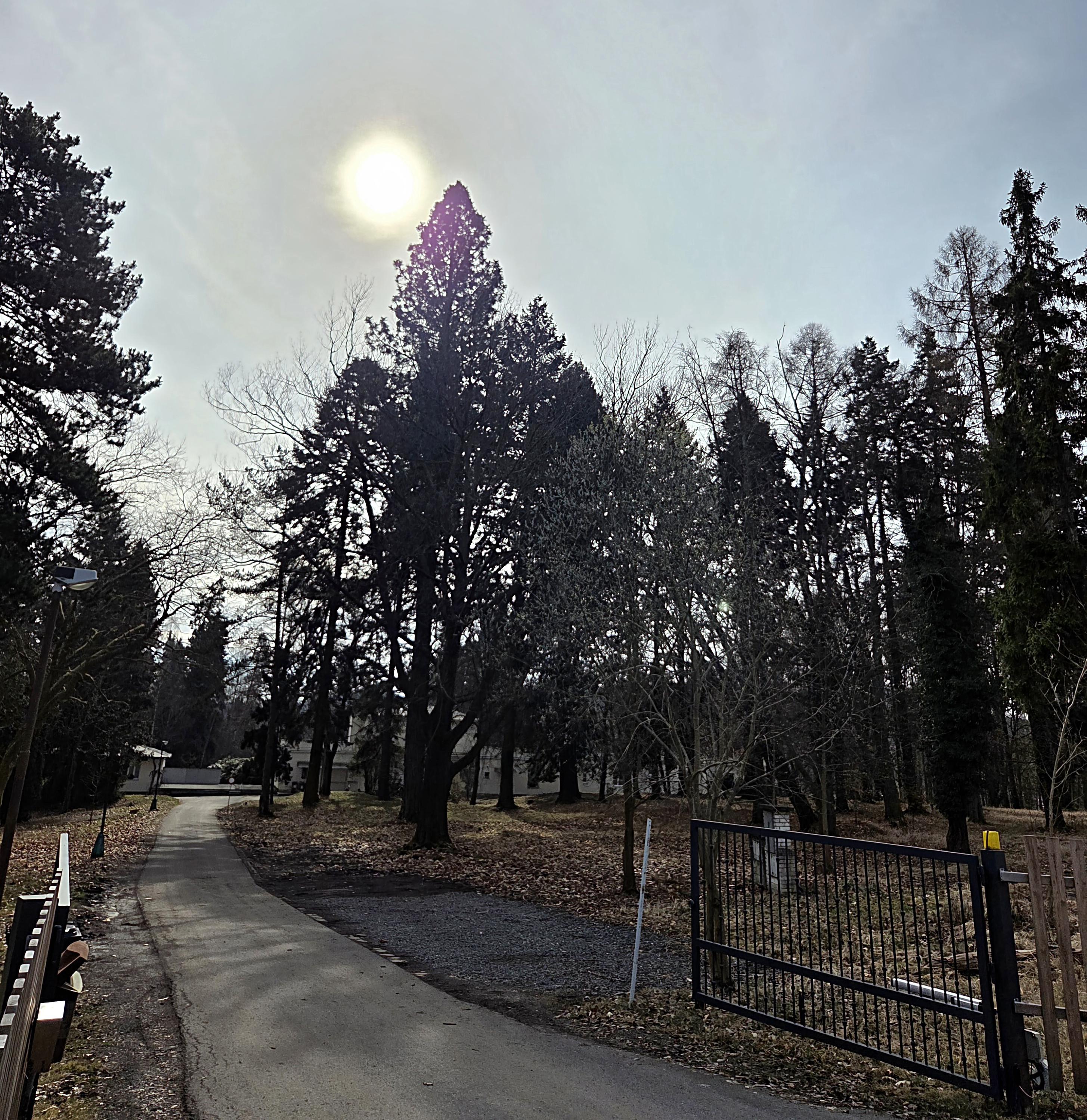 Základní škola Všestary foto 1