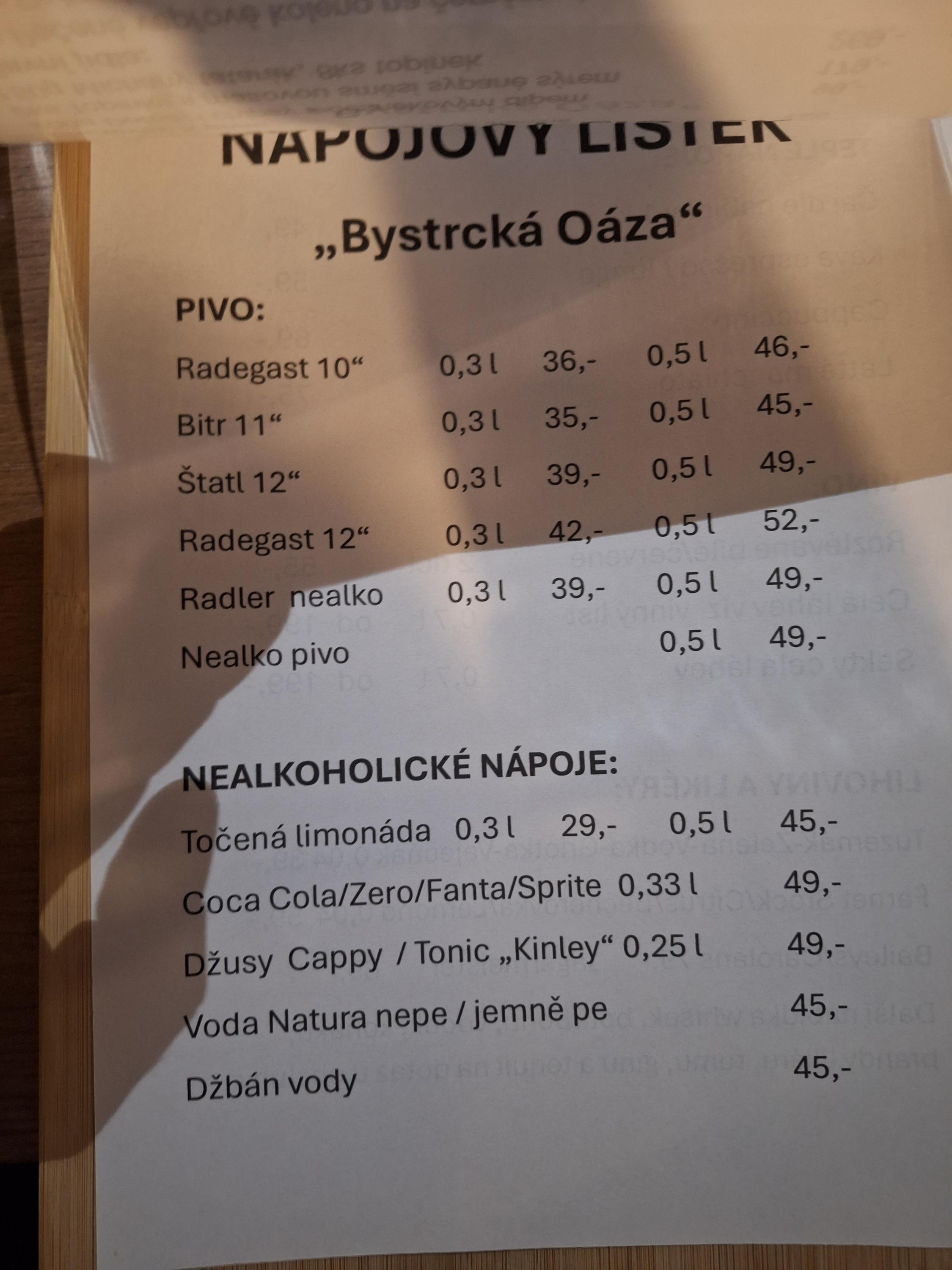 Restaurace Bystrcká Oáza foto 4